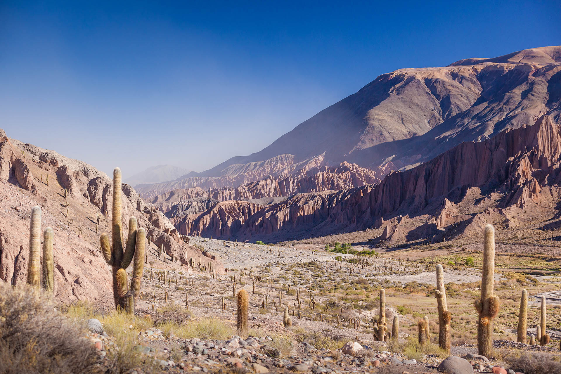 Un ritual que se comparte, un momento perfecto para conocer paisajes increíbles y conectarse con lo íntimo de la cultura norteña.