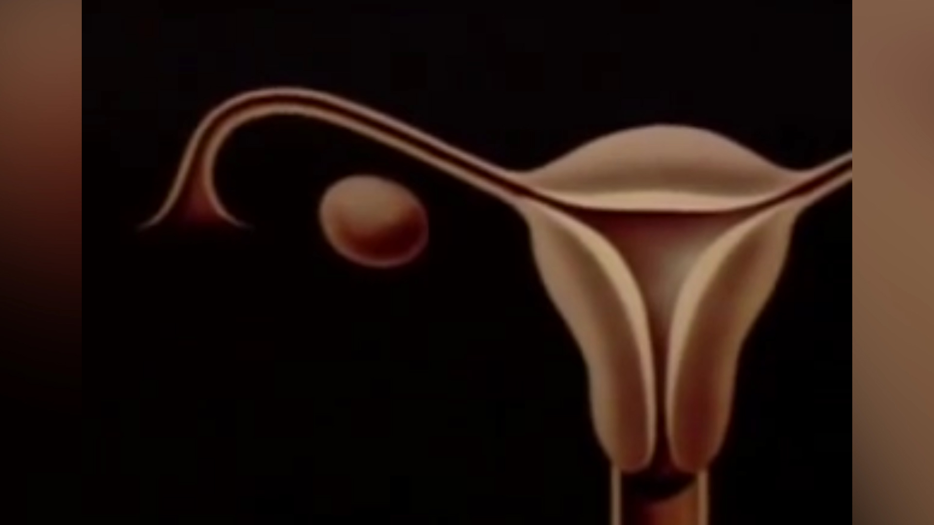 Corto Disney sobre Menstruacion