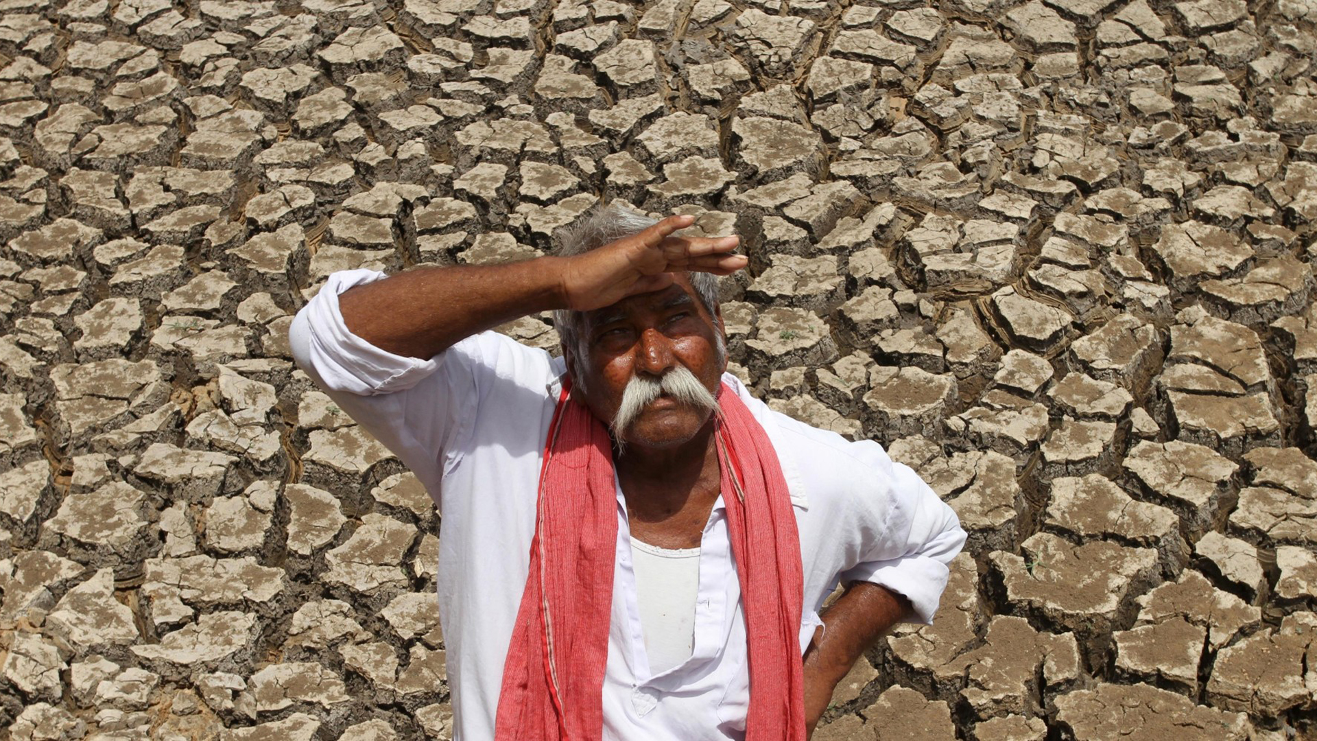 El primer estudio que conecta los suicidios con el cambio climático hizo foco en la India (AP Photo/Ajit Solanki)