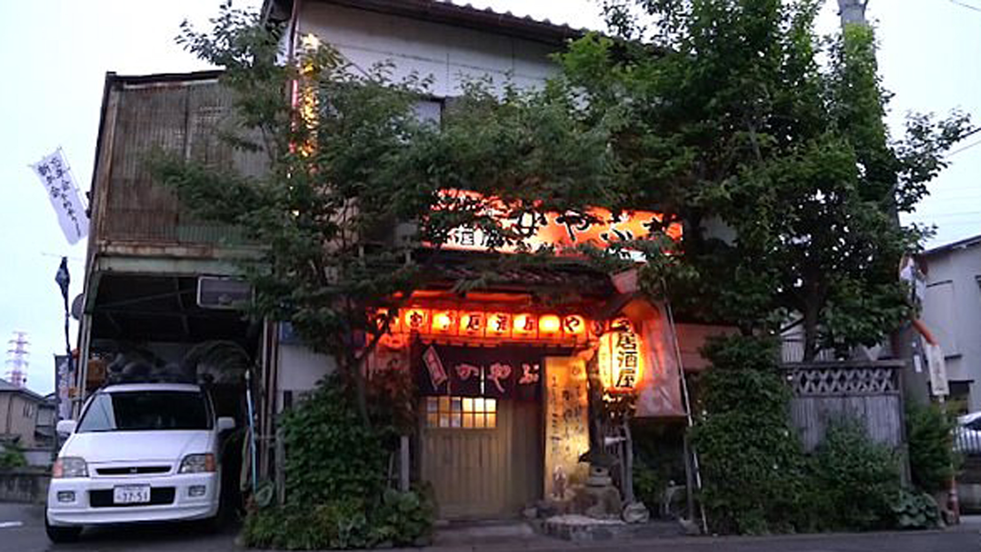 Miles de turistas y oriundos de la zona visitan este exótico y divertido bar para interactuar con los simpáticos monos que lo atienden (dailymail)