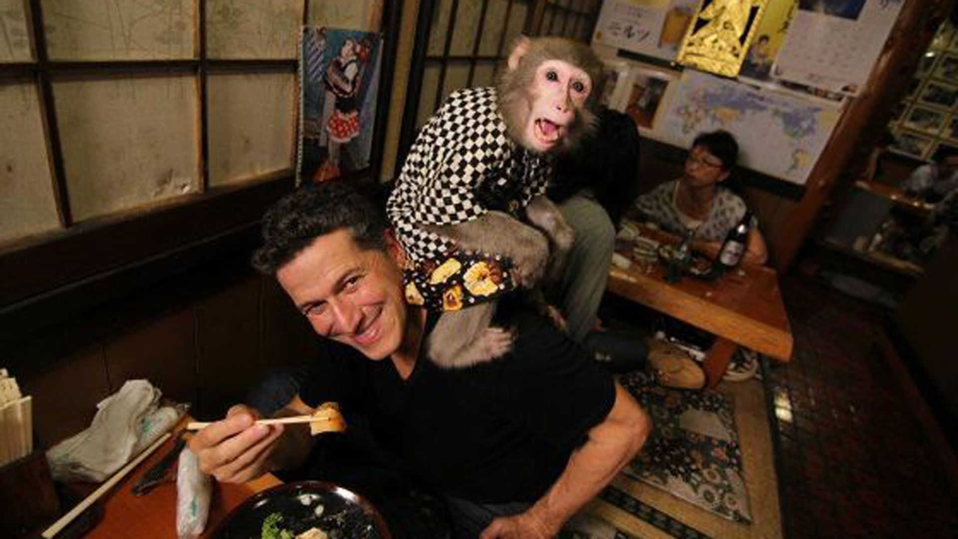 Estos simpáticos primates merodean entre los clientes para hacer de una simple cena un divertido momento