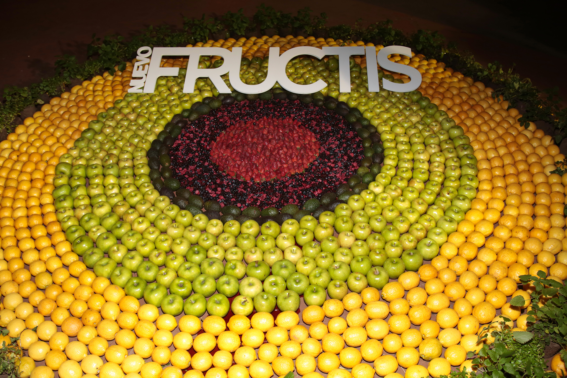 FRUCTIS cuenta con 7 líneas de producto compuestas por shampoo, acondicionador y tratamientos. Los formatos de shampoo y acondicionador son de 200ml, 350ml y 650ml