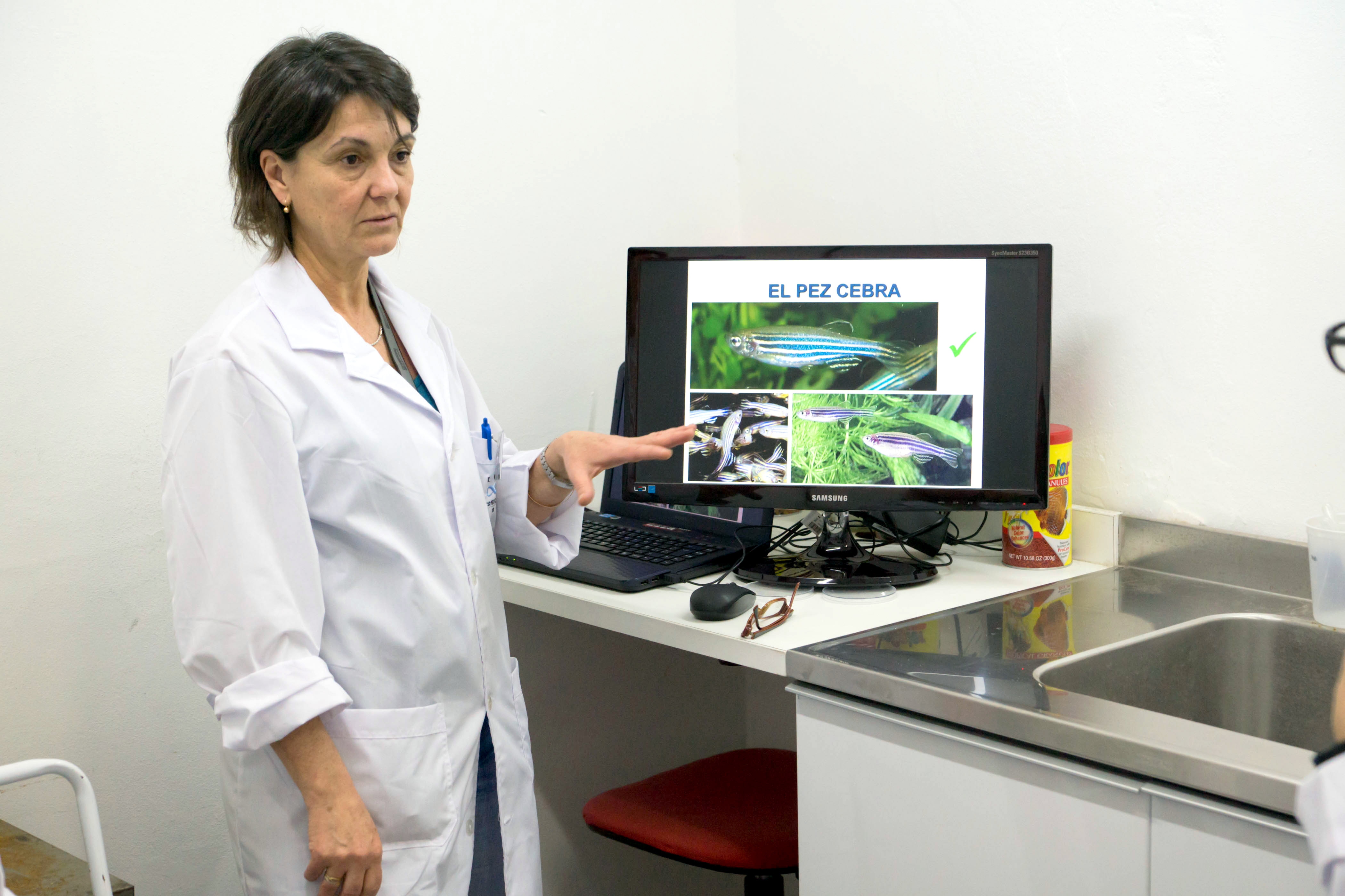 Nora Calcaterra espera entender al cáncer de piel con el estudio del pez cebra