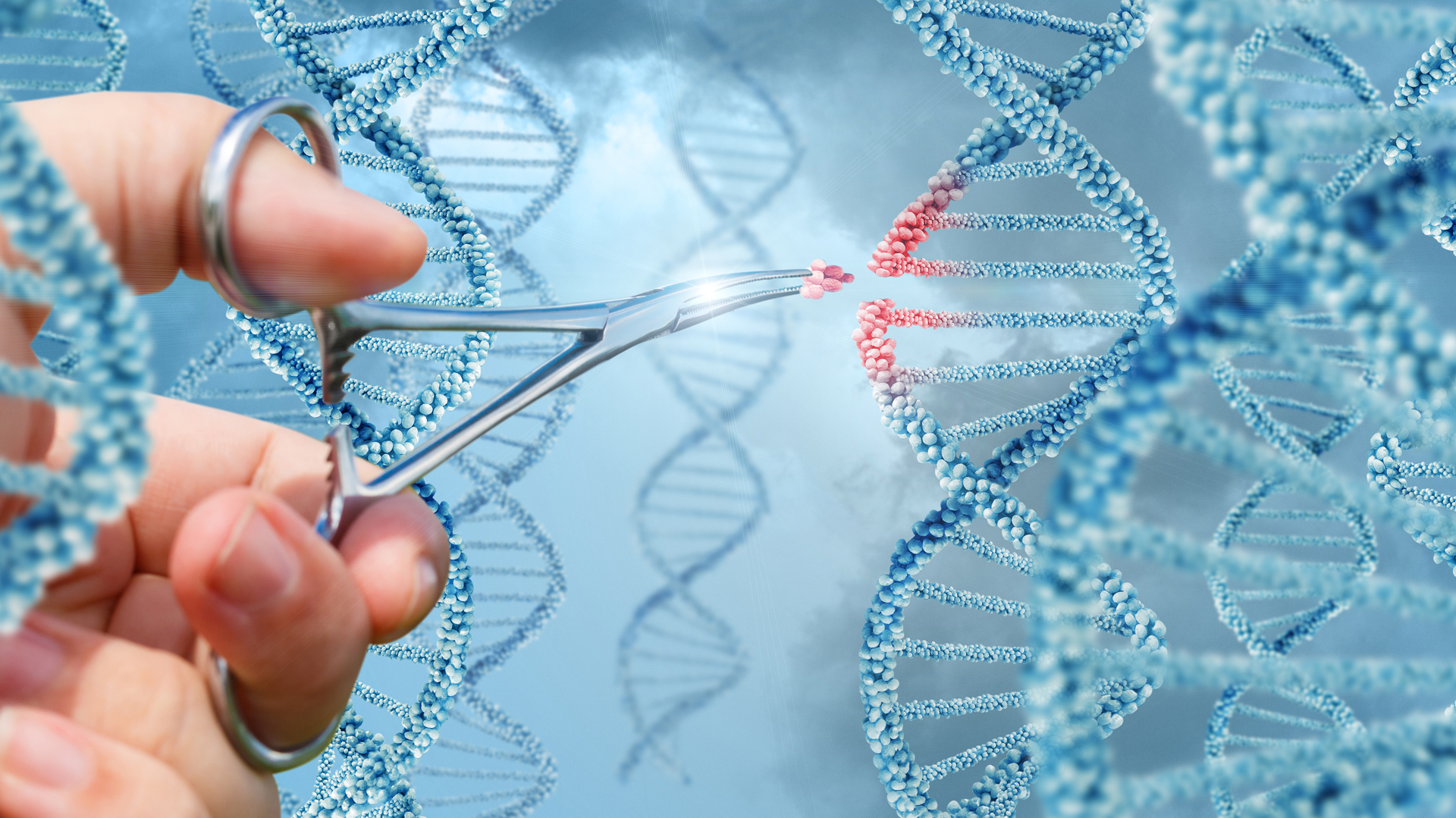 CRISPR es la tecnología genética que aspira a revolucionar el campo medicinal (iStock)