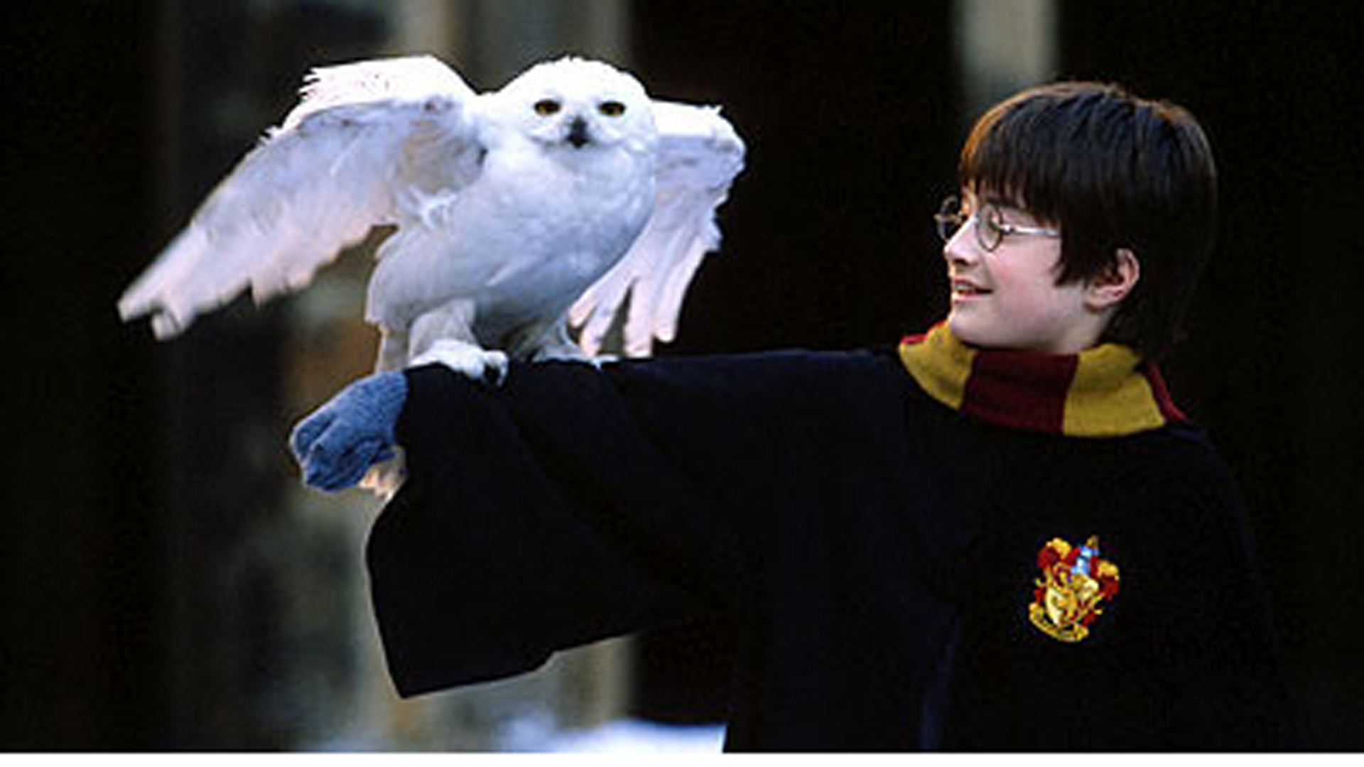 Un estudio sacó la conclusión que debido al fenómeno de Harry Potter, se incrementaron las ventas ilegales del búho salvaje en Asia.