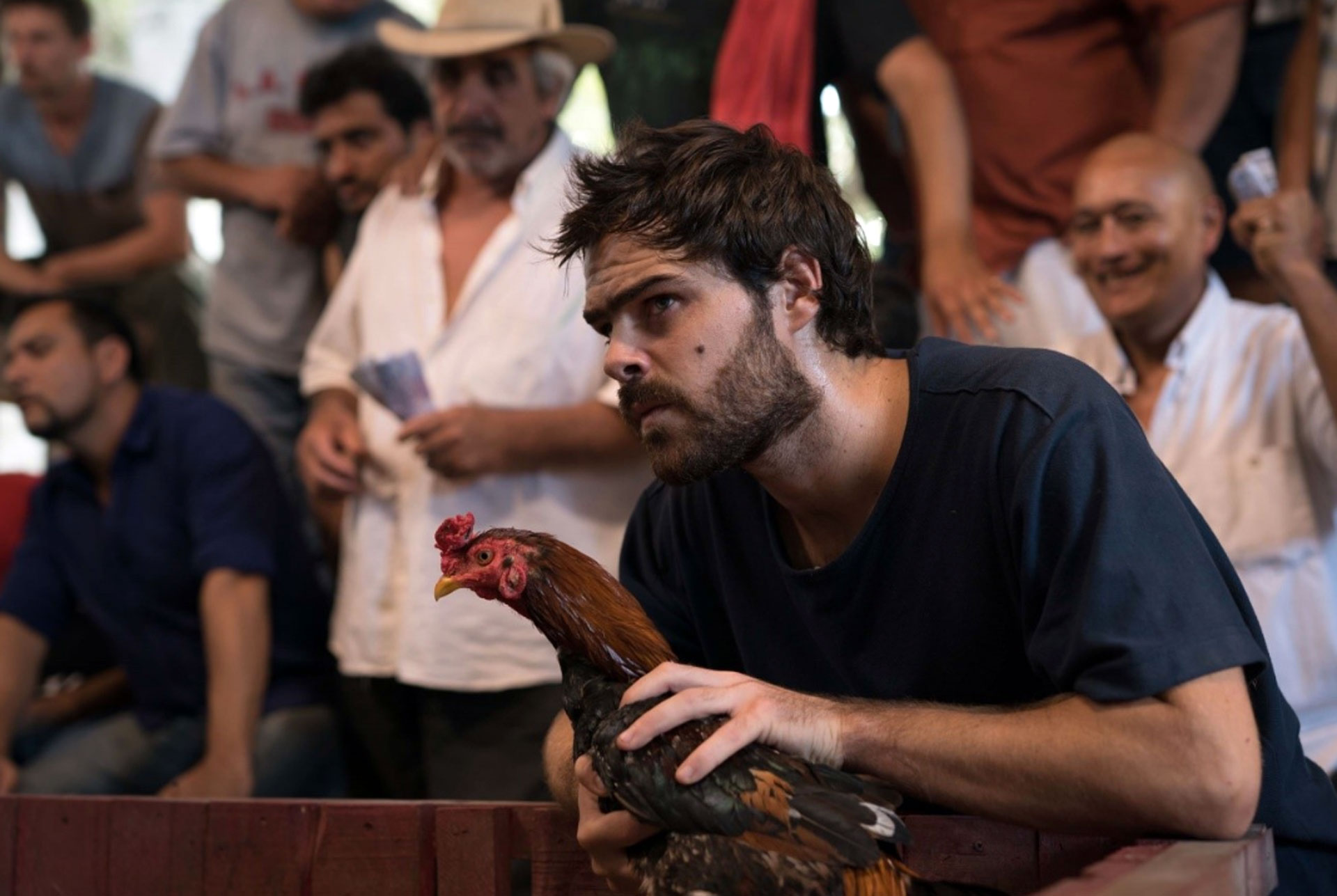 “Un gallo para Esculapio”, producida por Underground y TNT y protagonizada por Luis Brandoni y Peter Lanzani, finalizó por la pantalla de El Telefe con un rating de 9.4 puntos. Por su éxito, ya están en tratativas para una posible segunda temporada