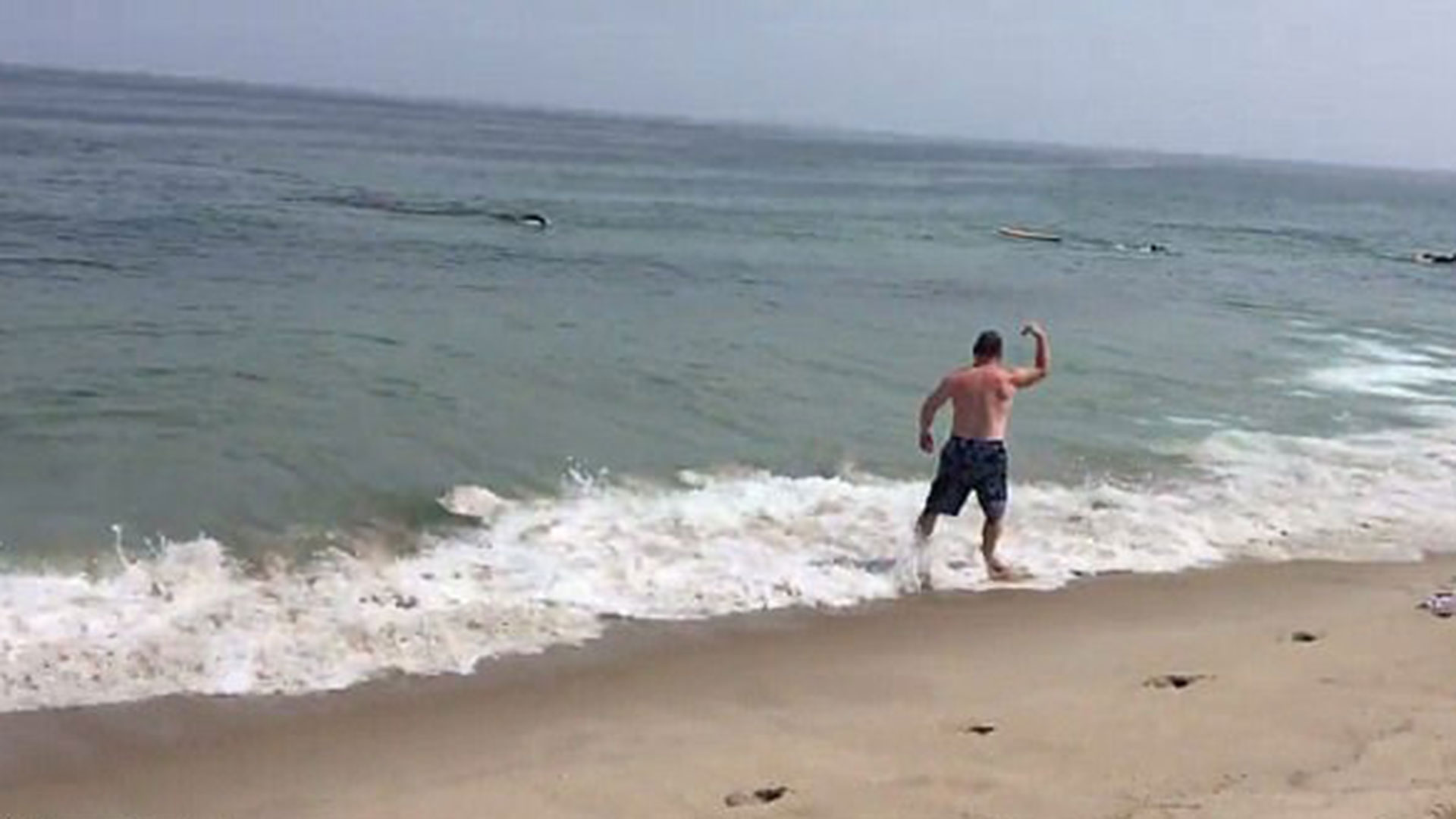Graban momento exacto del ataque de un tiburón