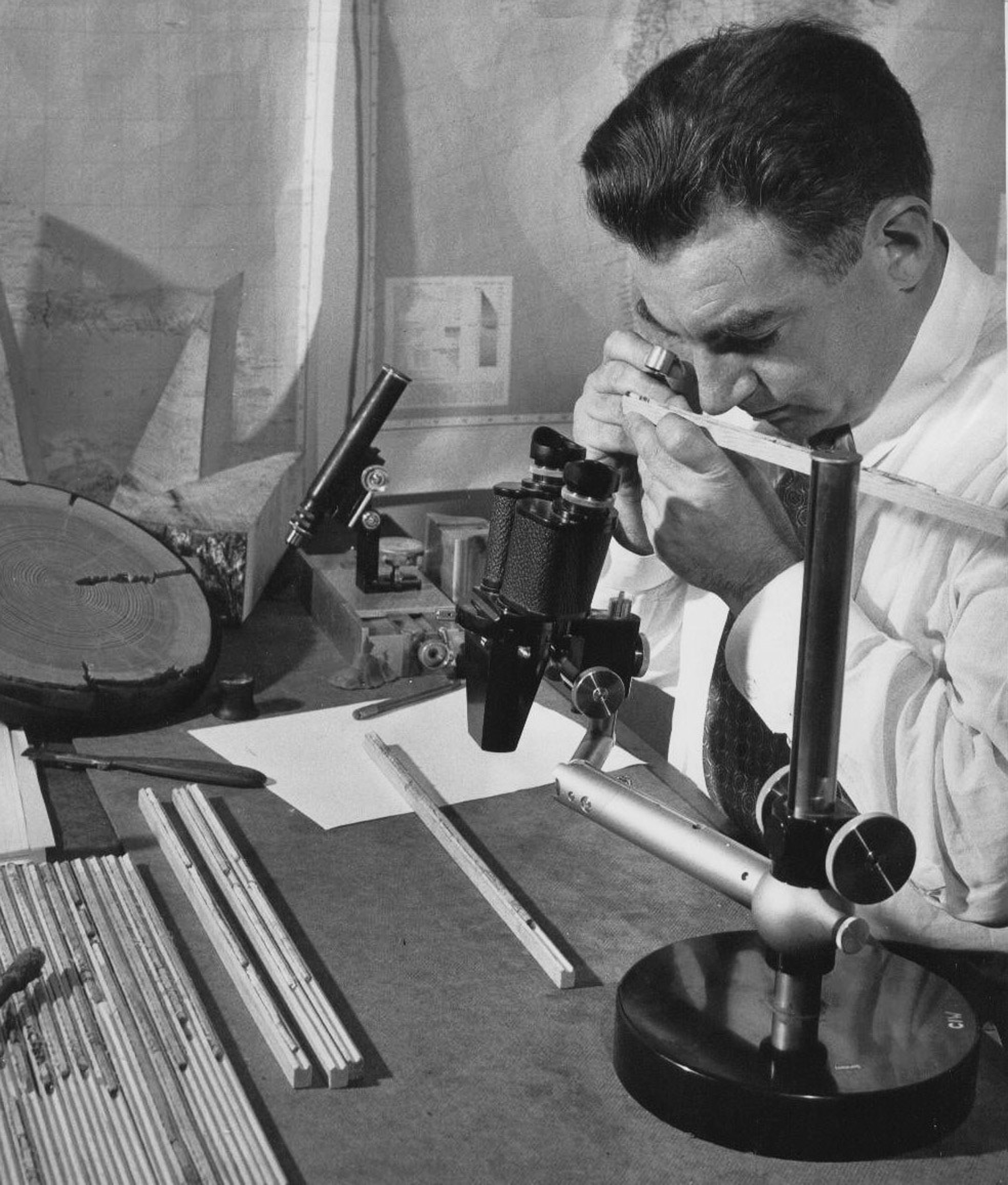 El famoso geólogo Donald Currey quien se lo conoció por haber descubierto el árbol más antiguo del planeta luego de haberlo matado en 1964