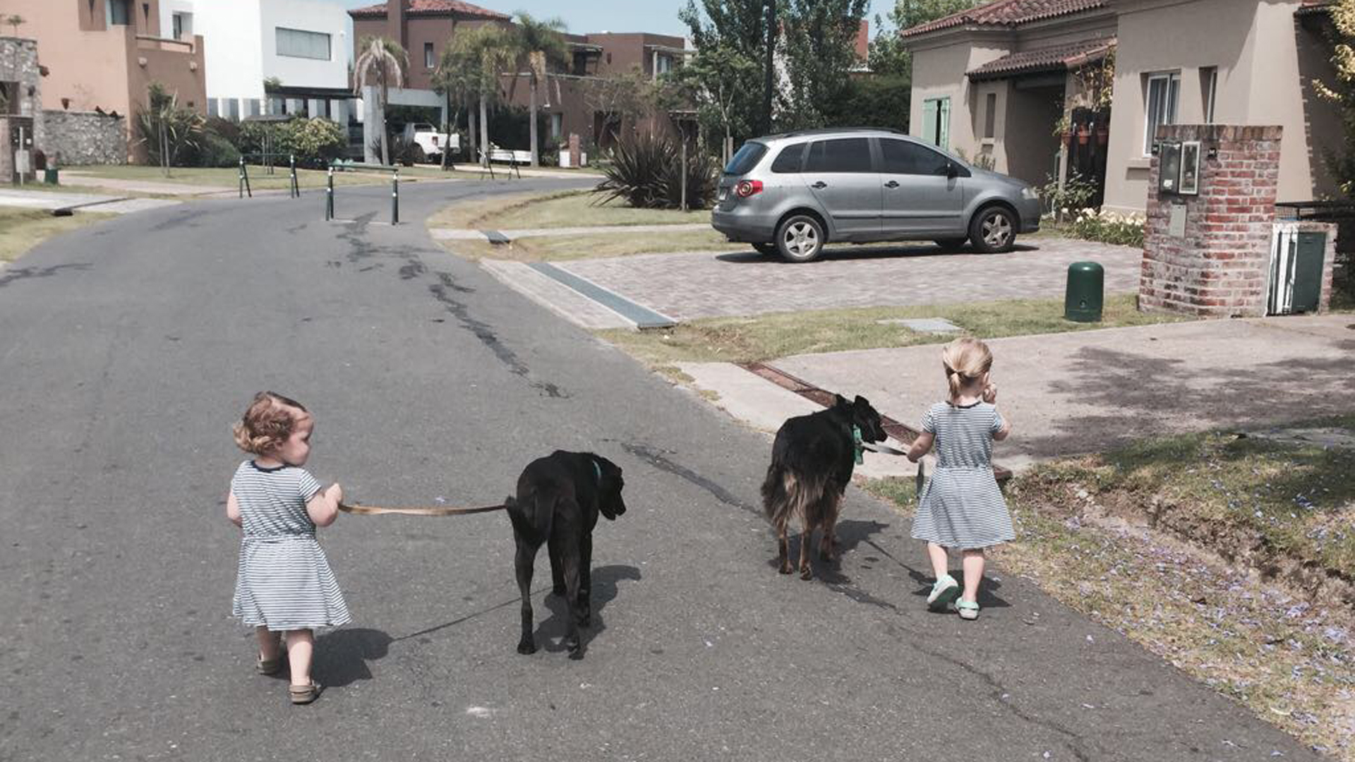 El amor por las mascotas y la preocupación por el bienestar de estos puede ser un buen motor para iniciar un proyecto económico de vida