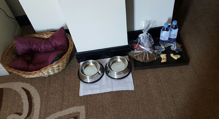 Camita, platos y desayuno premium de Krisóbal, la mascota de Moria Casán