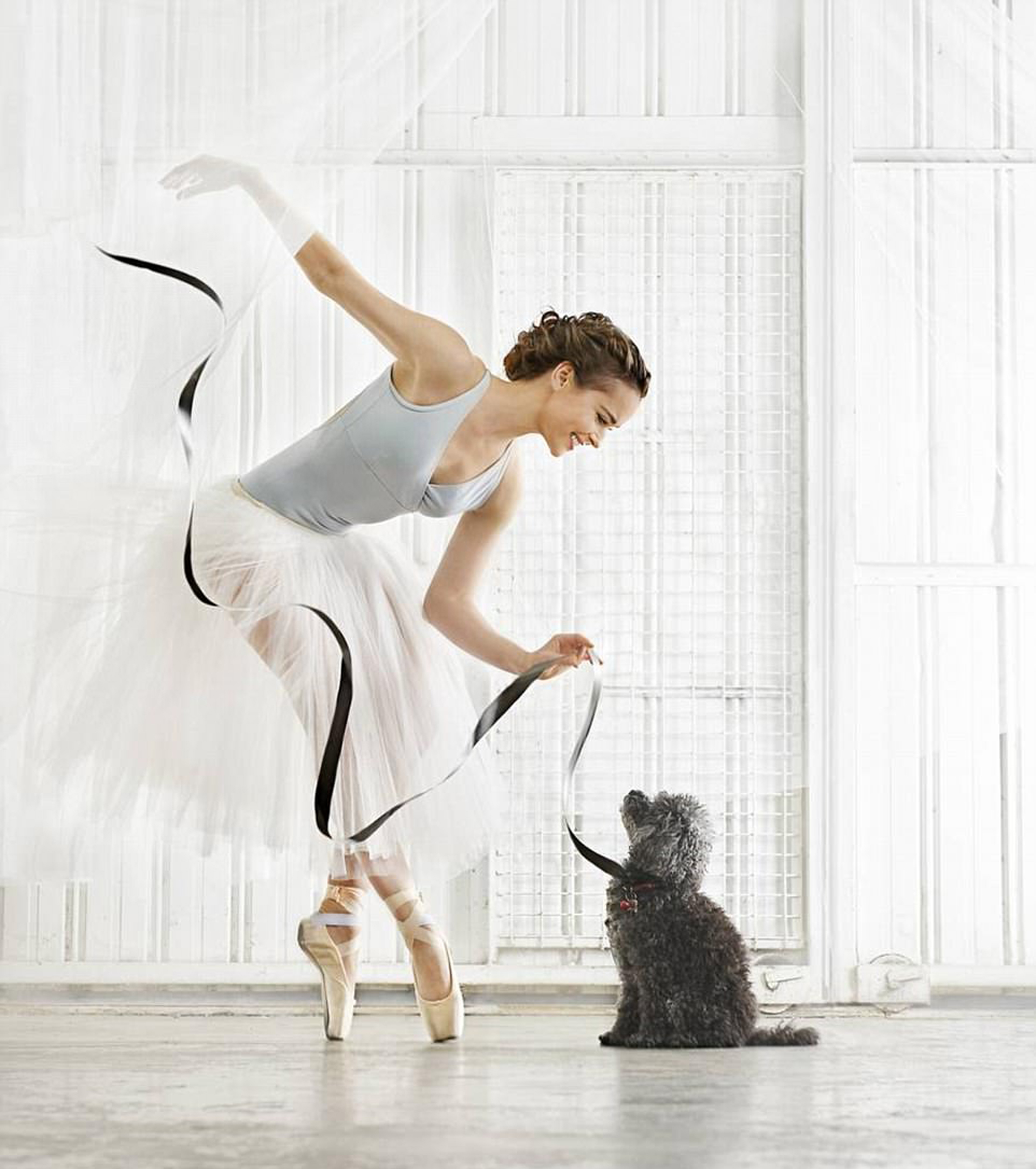 No hay restricciones en los animales que pueden estar en las fotos, solo hace falta la creatividad y visión del profesional (Janet Craig)