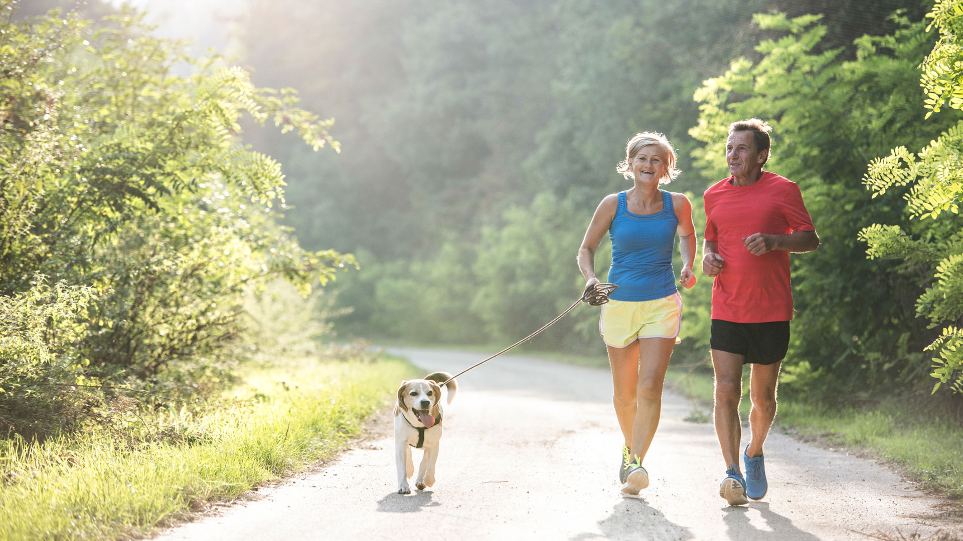 Es importante prestar atención a los comportamientos posteriores al paseo (iStock)