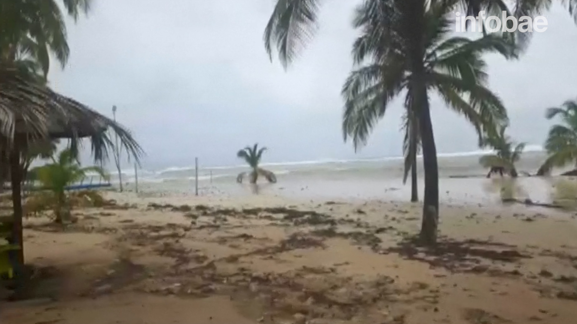 Así fue el impacto del huracán Irma en las paradisíacas islas del ...