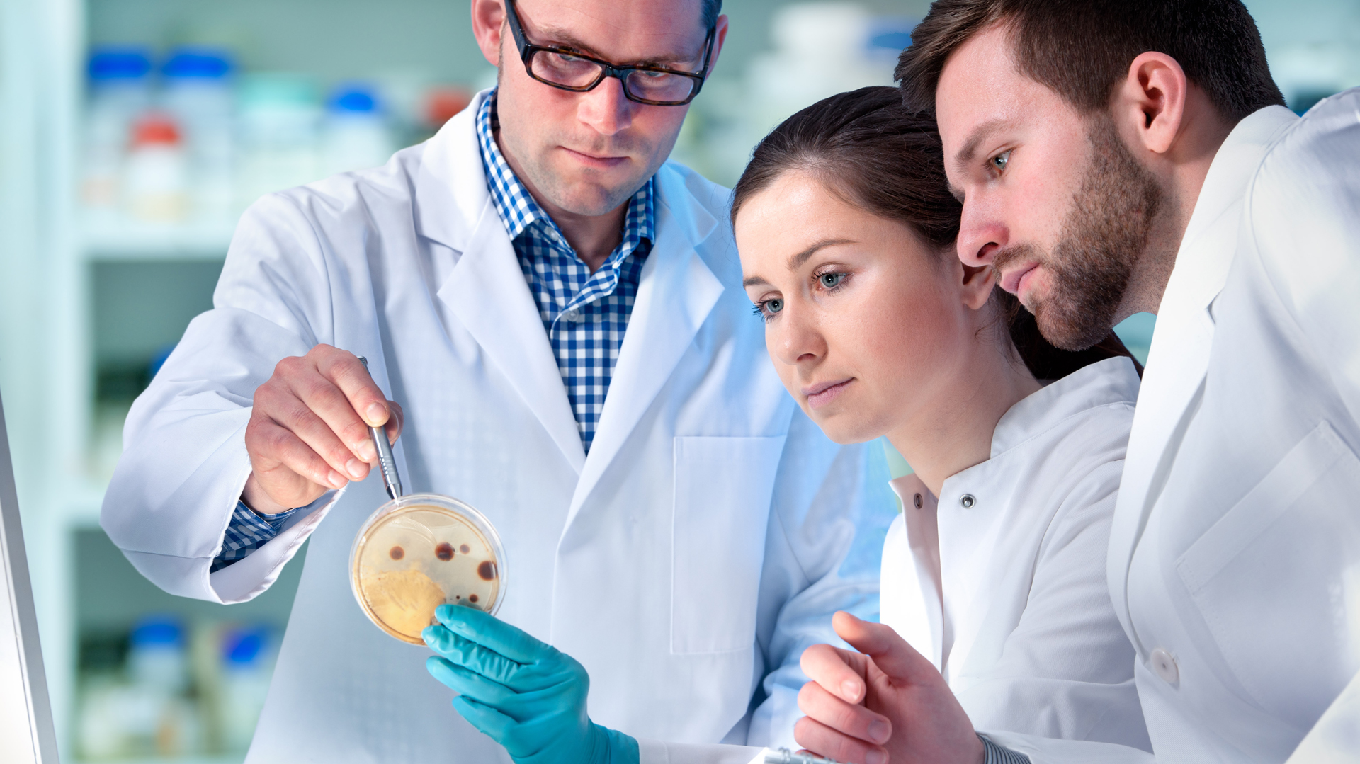 En noviembre de 2017, la OMS señaló que si se restringe el uso de los antibióticos en animales para el consumo humano, se reduce el desarrollo de la resistencia hasta en un 39 %. (iStock)