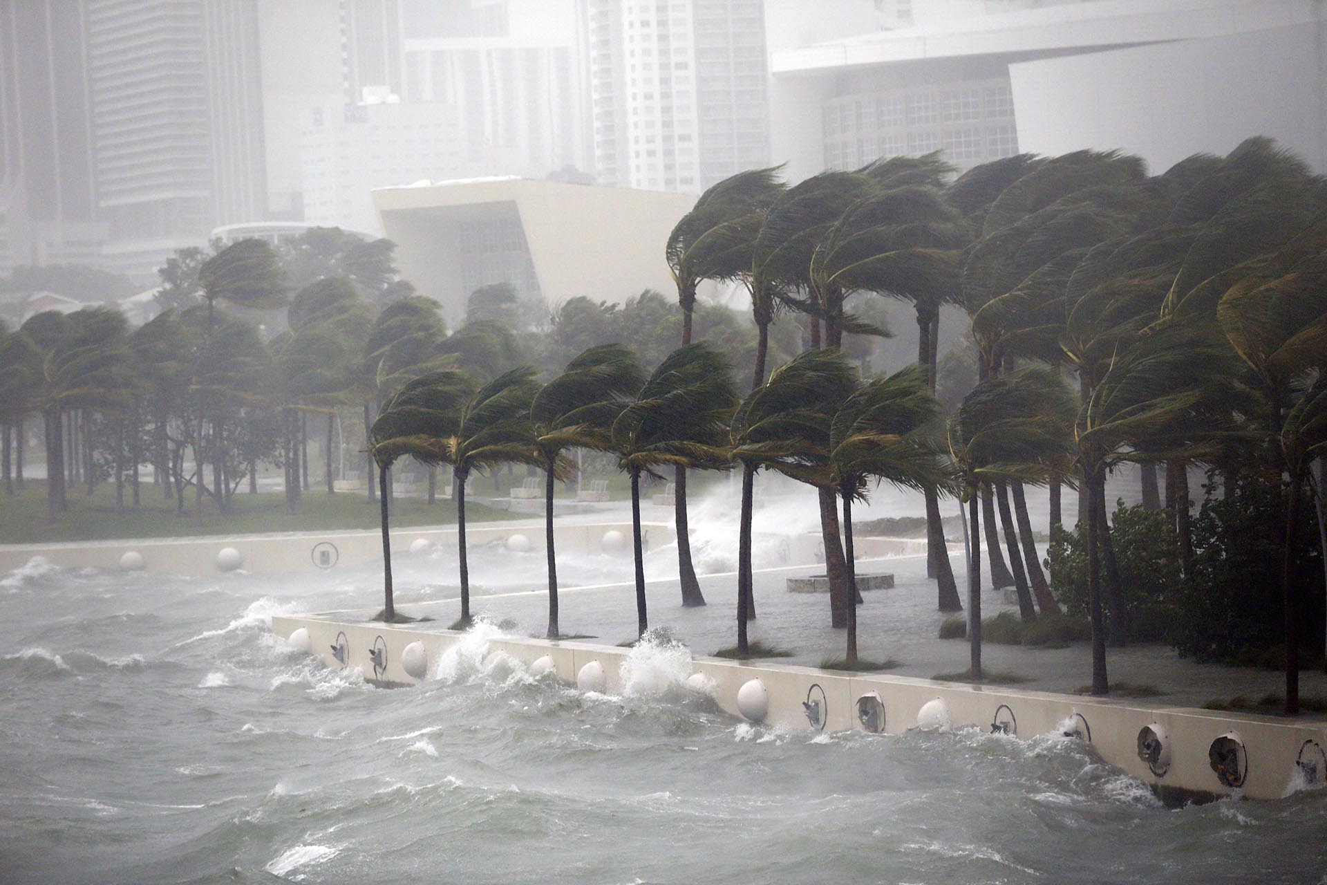 Las olas en Key Biscayne en el momento que pasó el huracán Irma por Miami (AP)