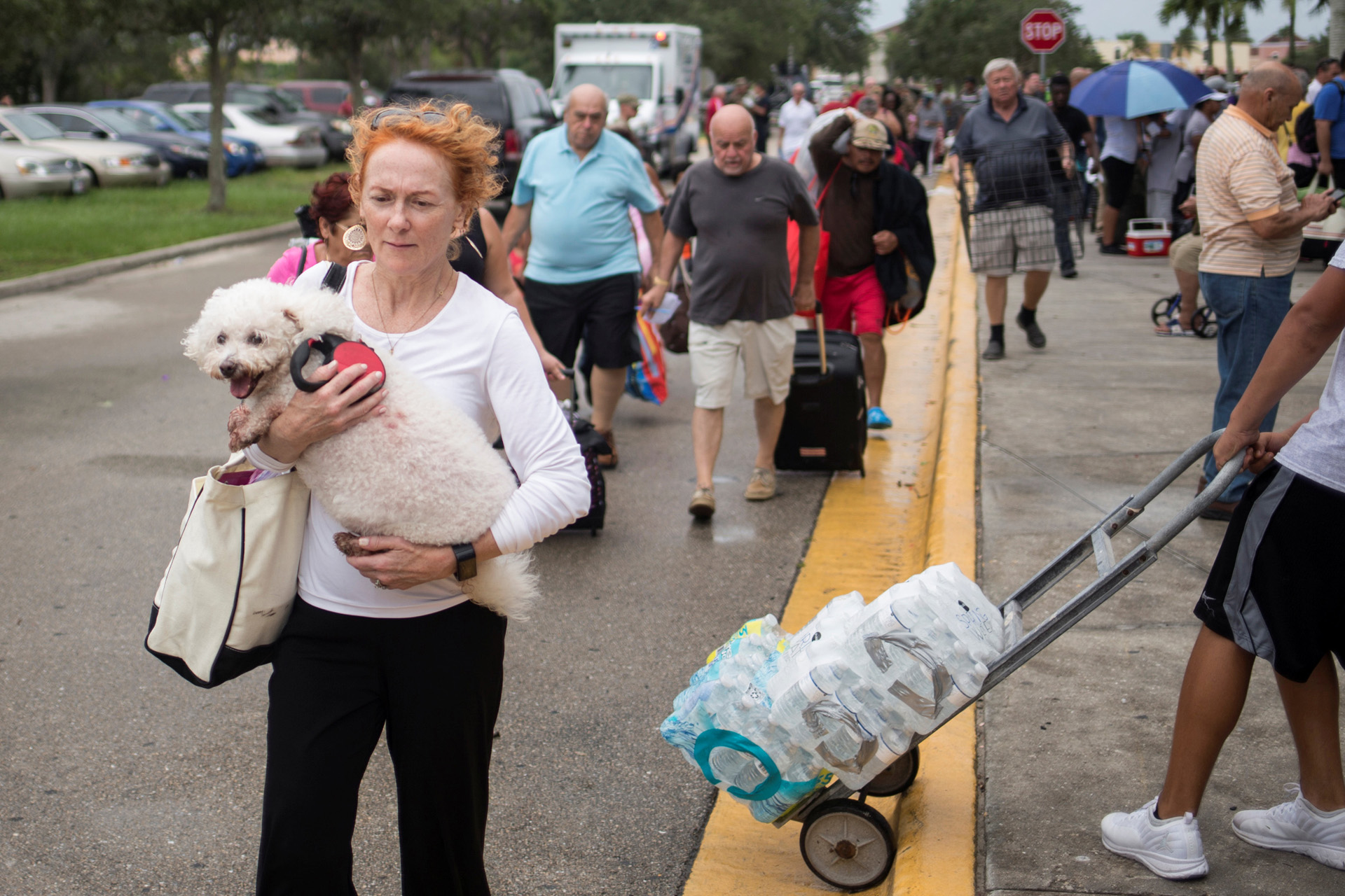 Los residentes llevan sus mascotas y pertenencias a un refugio antes de la caída del huracán Irma en Estero, Florida. (Reuters)
