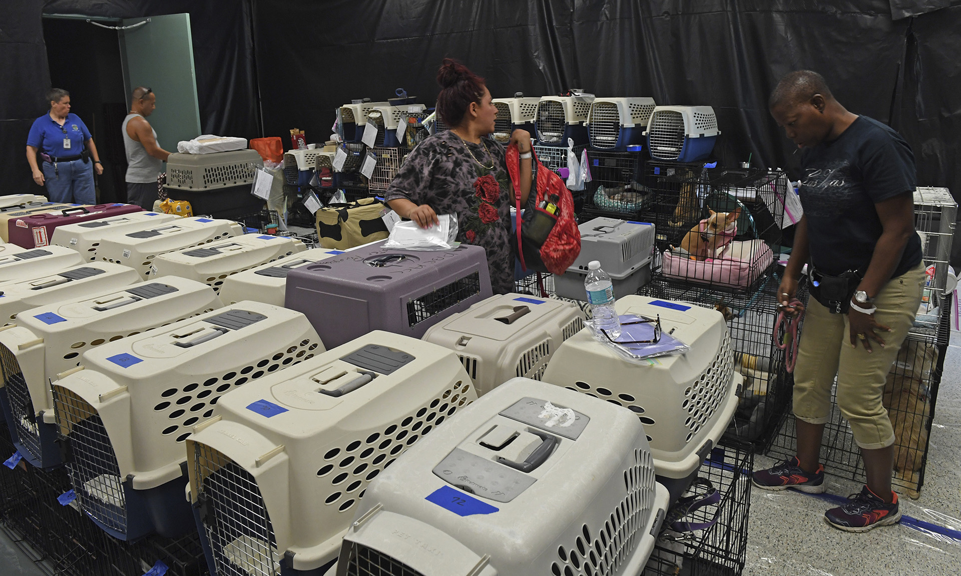 Las personas buscan refugio de Irma con sus mascotas en el West Boynton Park and Recreation Center en preparación para el huracán Irma en Boynton, Beach, Florida. (AP)