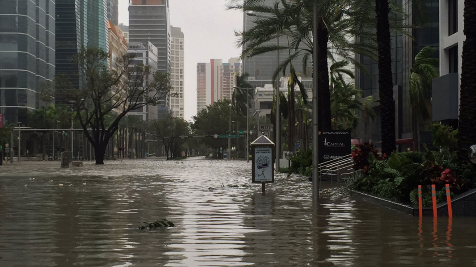 Brickell Avenue, en Miami, bajo el agua