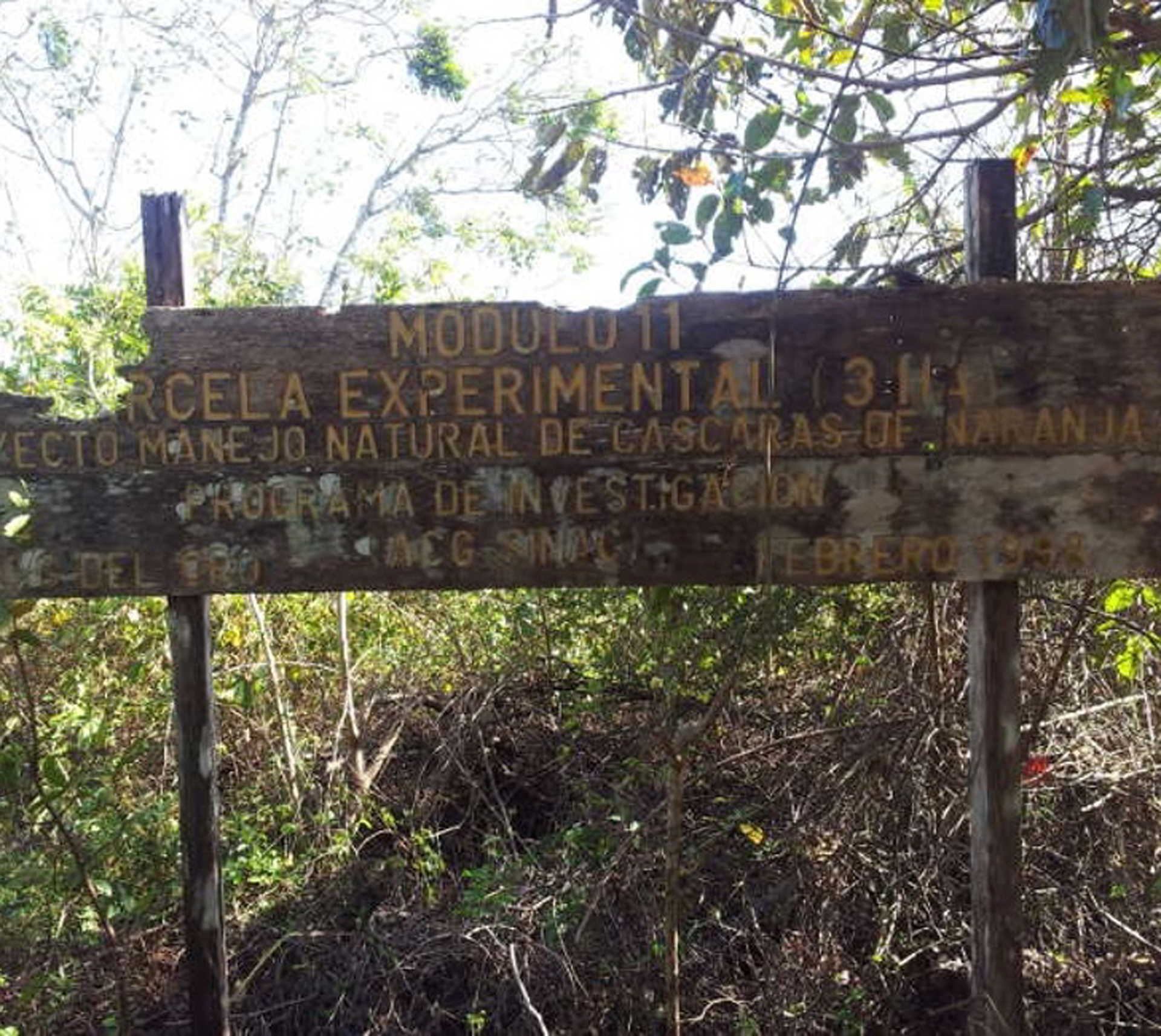 Un cartel que devela el programa de investigación con cáscaras de naranja que la Justicia de Costa Rica invalidó