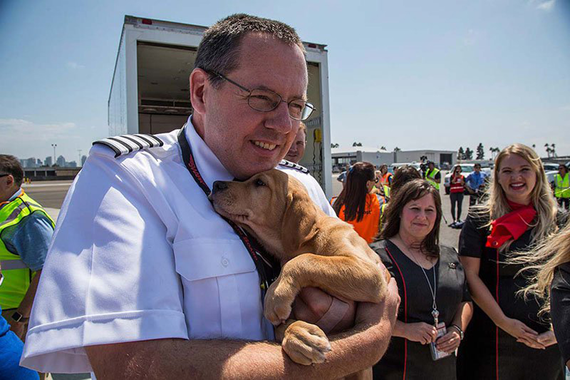 Rescate de mascotas luego de la catástrofe del Huracán Harley (Twitter/Southwest Airlines)