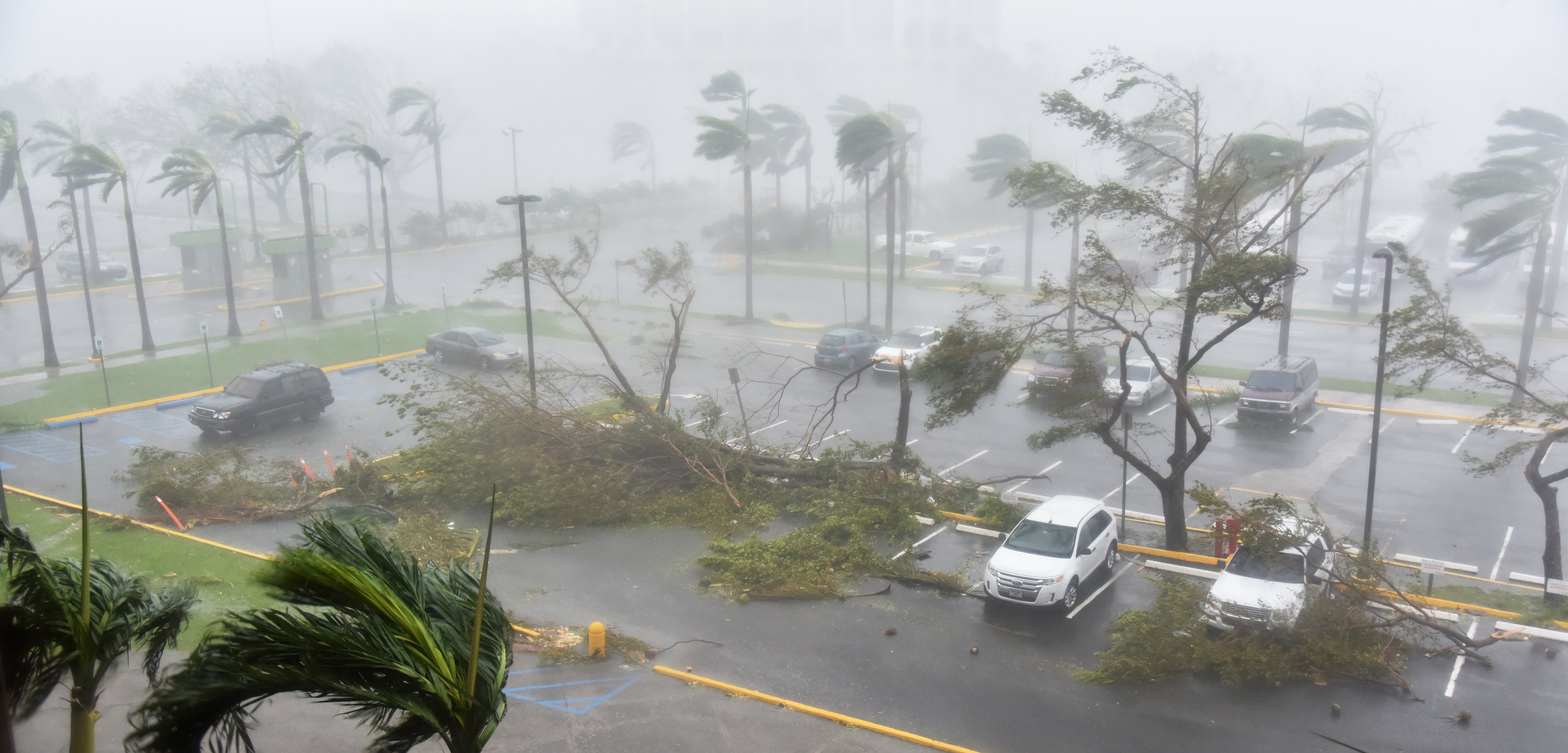 Árboles caídos en un estacionamiento tras el paso de Irma por San Juan, Puerto Rico