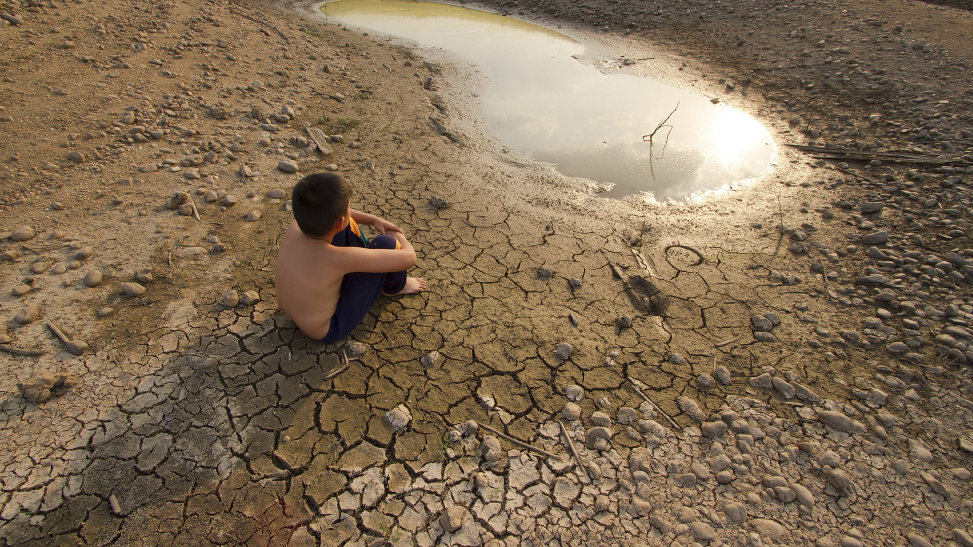 Según el informe, este incremento se debe a “la conjunción de las actividades humanas y a un potente episodio de El Niño”