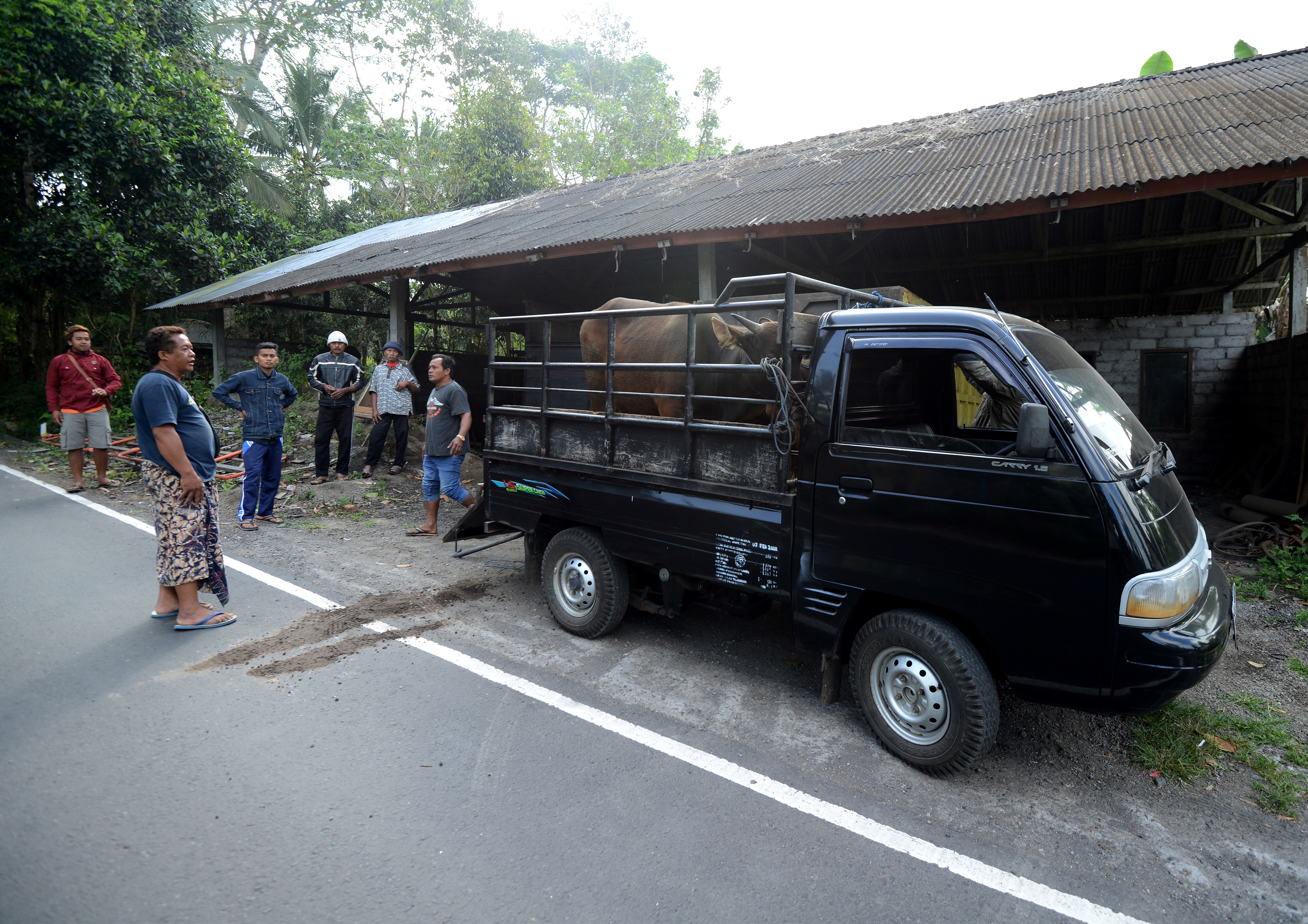 Las operaciones de evacuación en Bali (AFP)