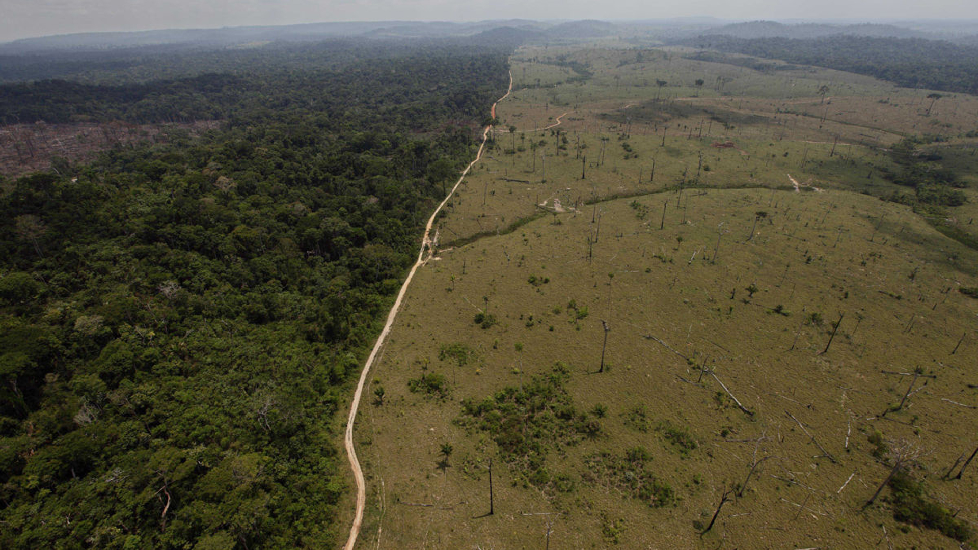 El objetivo de estos científicos es lograr comprender en profundidad la dinámica de las selvas tropicales para buscar soluciones y evitar sequías en la selva