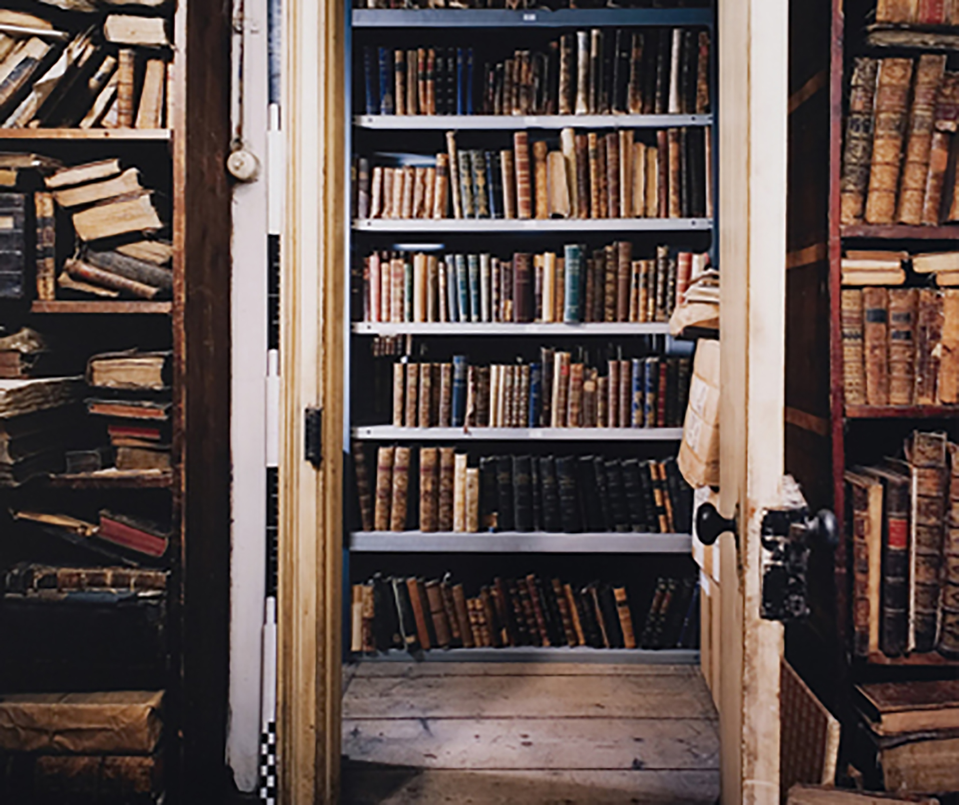 Buscar, leer y amar los libros - Infobae, image size:1920x1612