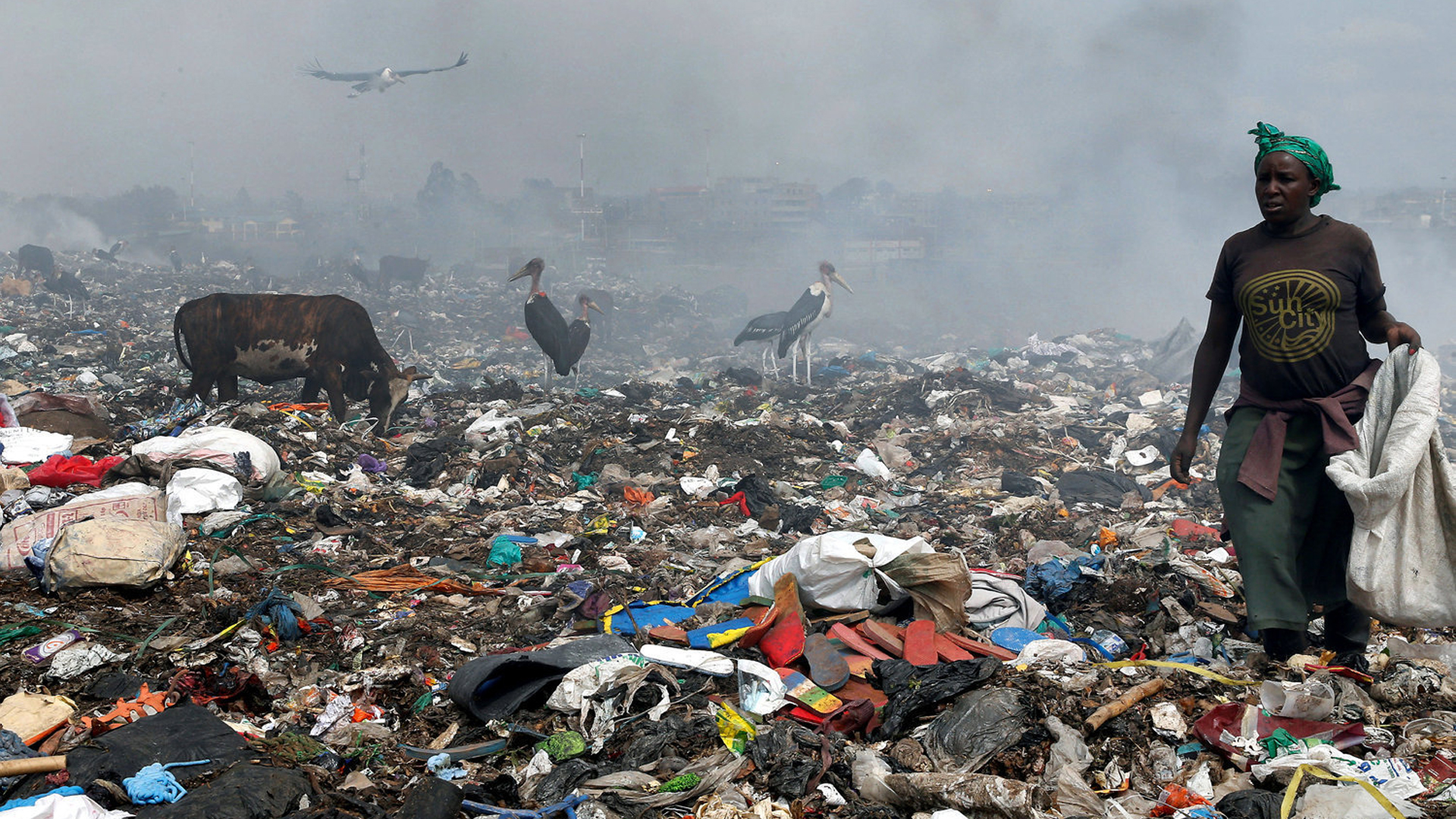 La basura plástica también tiene un impacto directo en la mortalidad de los animales