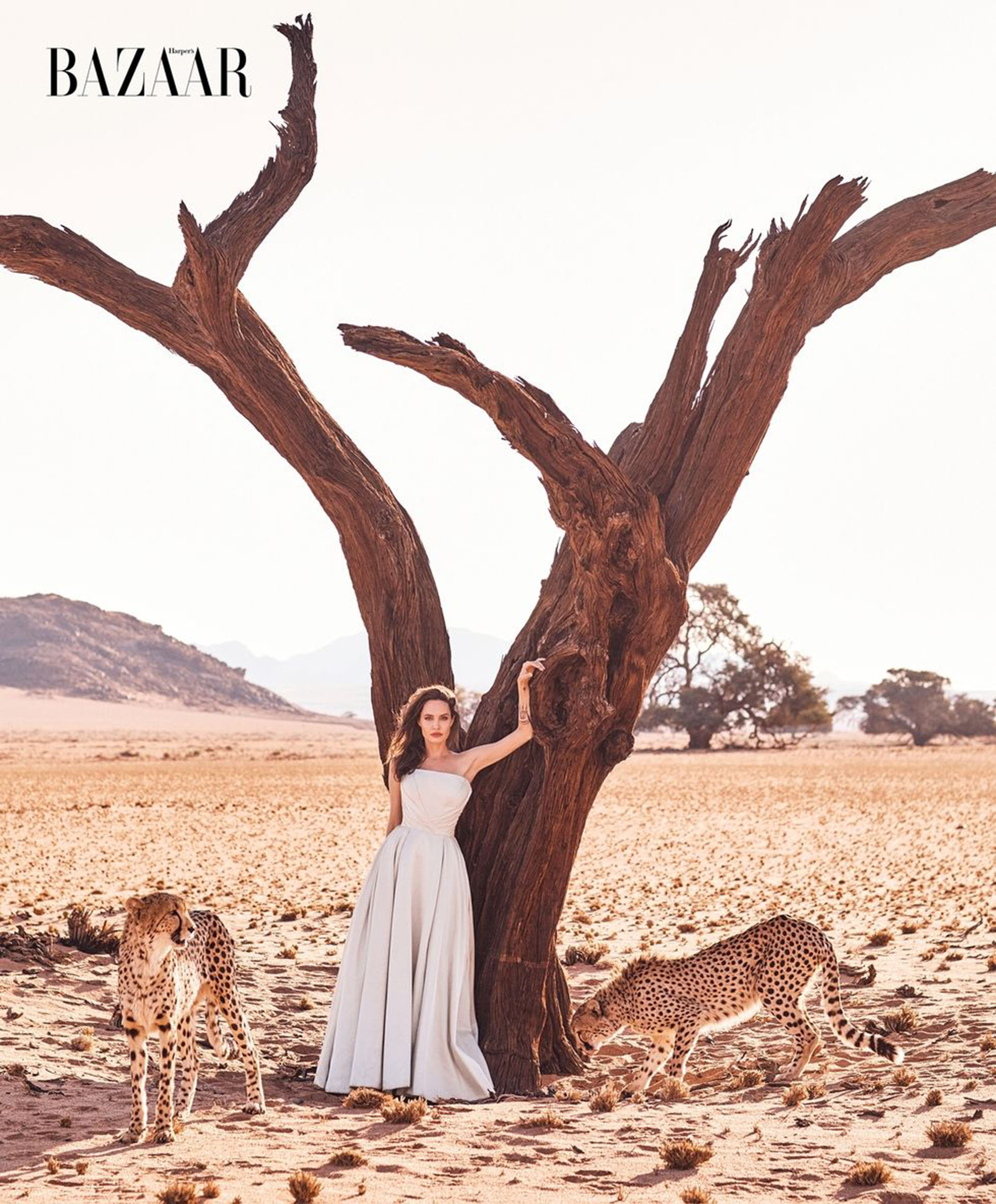 Angelina Jolie posó en una impresionante producción fotográfica enfundada en una pieza de alta costura de Atelier Versace