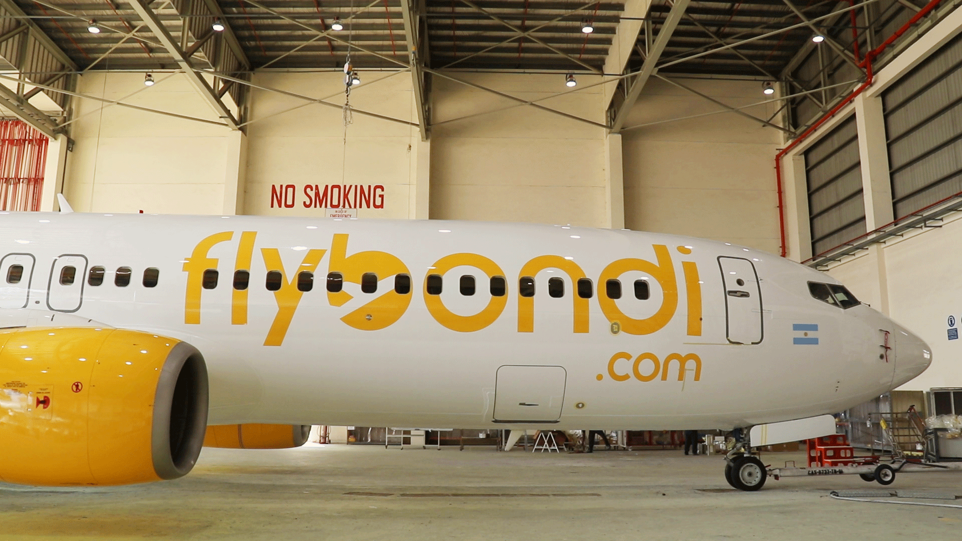 El Boeing 737-800 fue pintado en Singapur y llegó a la Argentina a fines de noviembre