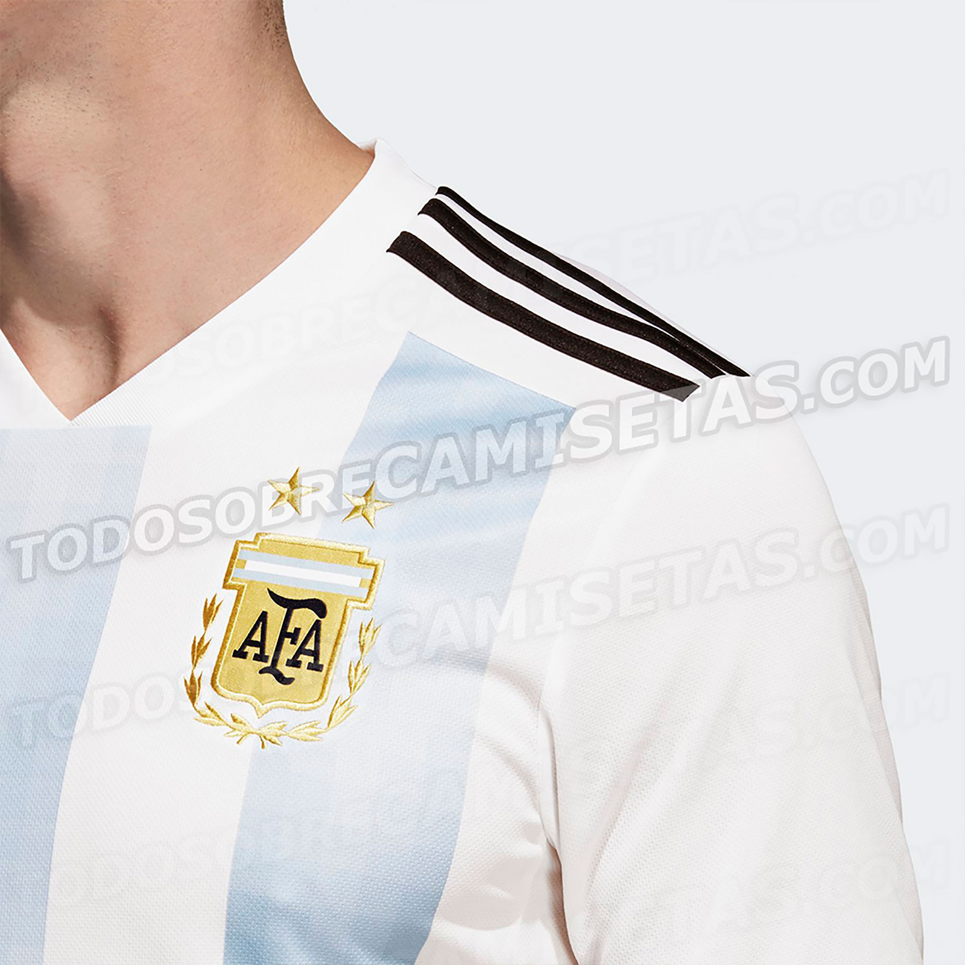 (Todo sobre camisetas)
