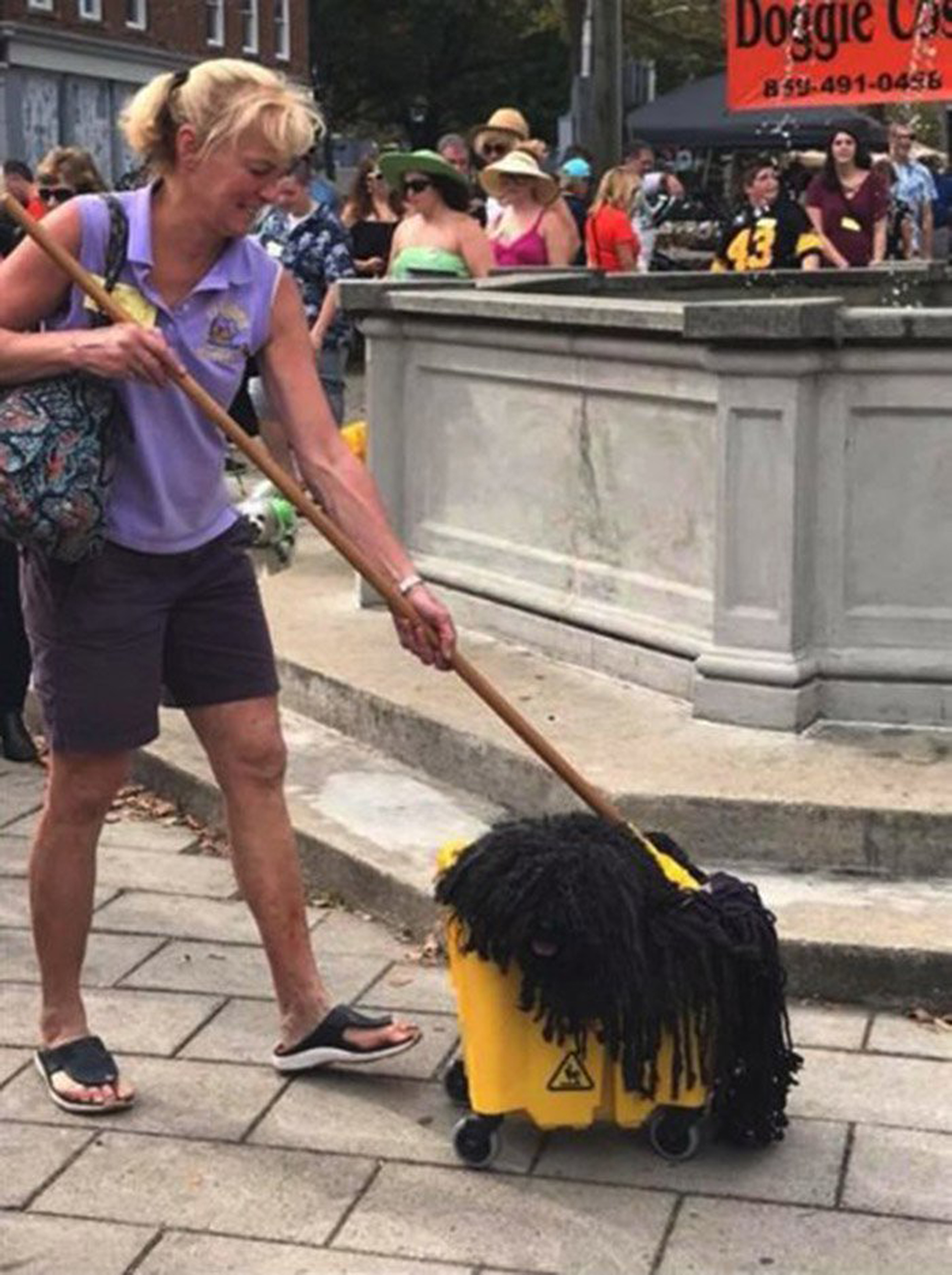 Se trata de un perro de raza Hungarian Puli, conocido por sus largos y rizados mechones que se asemejan a rastas (All creatures Animal Hospital)