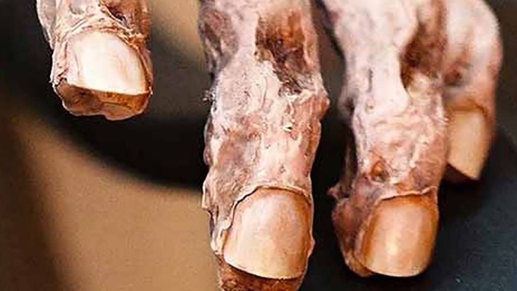 #Mix5411 - 8 datos mas curiosos sobre la muerte que te dejaran helado 4