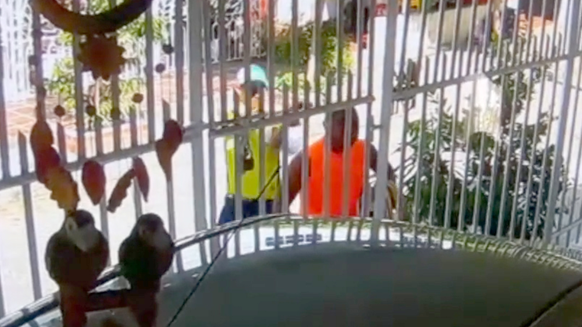 El momento en que el asesino le dispara al funcionario