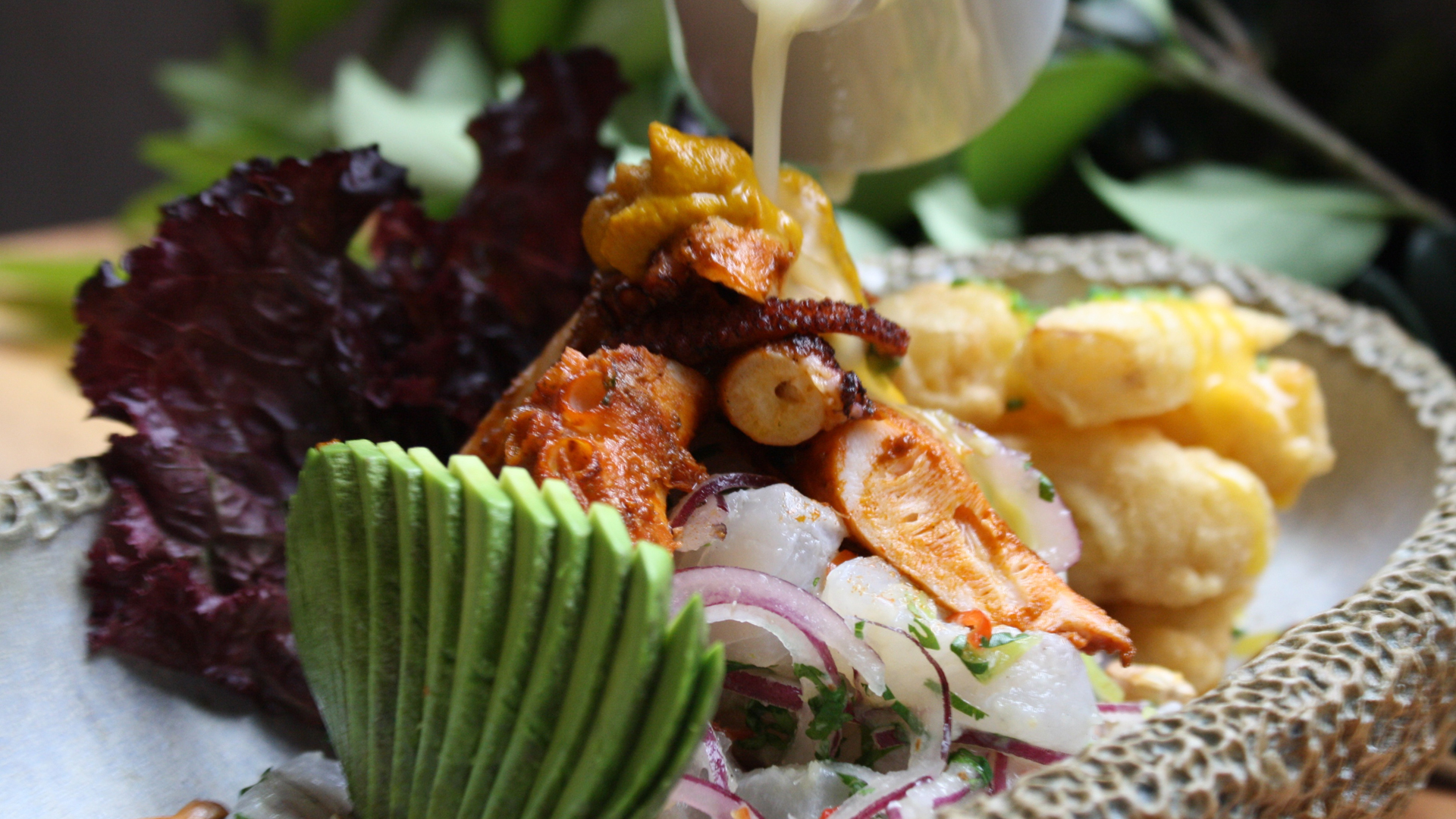 Ceviche, una de las comidas típicas que llegó a Argentina y es una de las más consumidas por los fanáticos de la cocina peruana