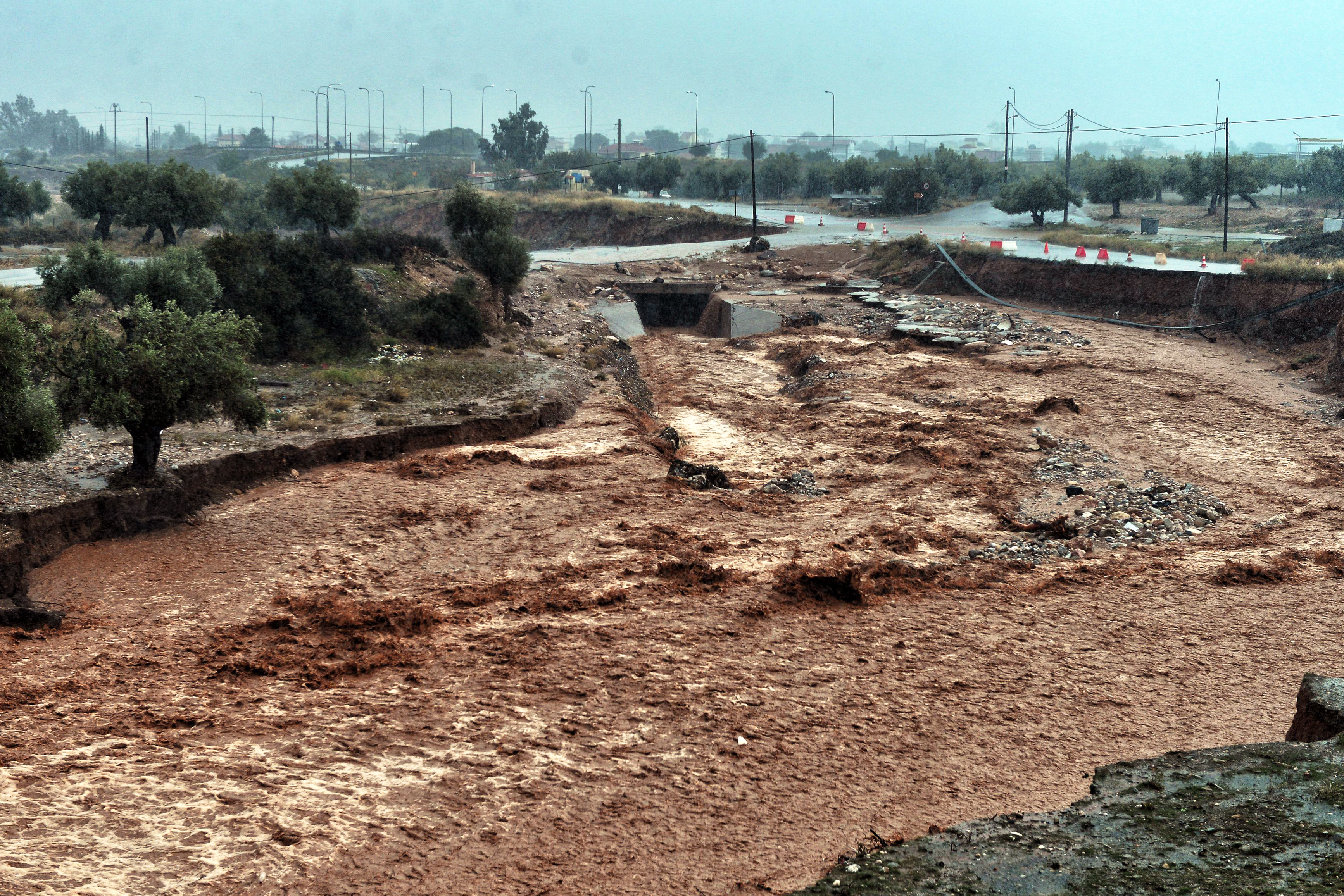 El impresionante alud en el municipio de Mandra, en el noroeste de Atenas (AFP/ VALERIE GACHE)