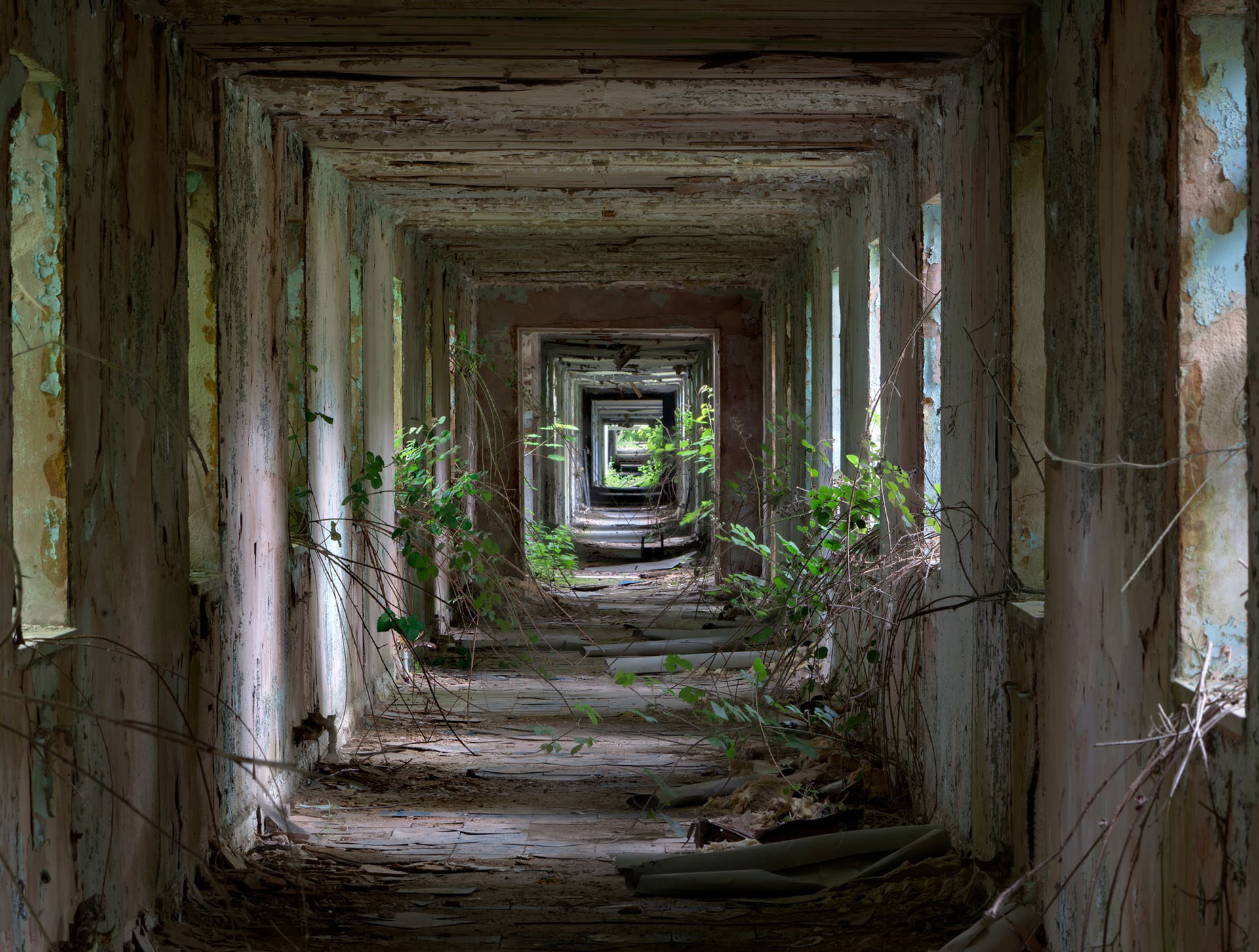 Nocton Hall Military Hospital por Matt Emmett, la fotografía ganadora