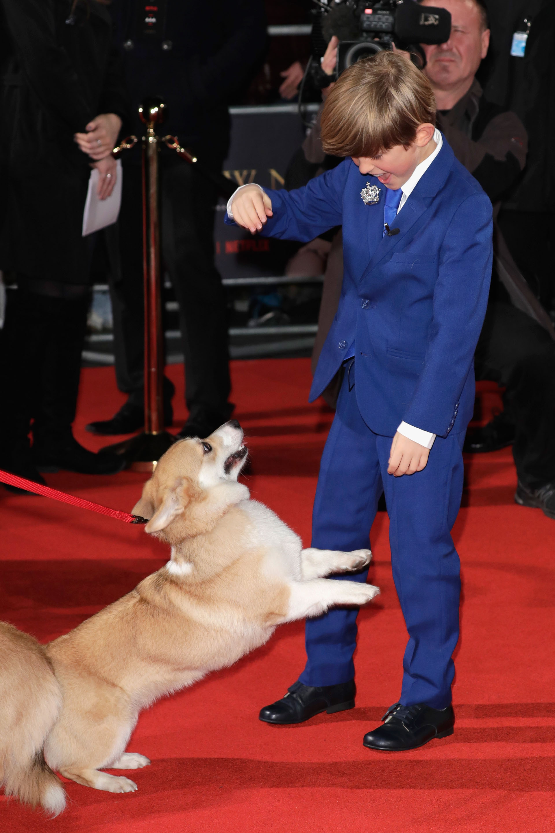 Billy Jenkins juega con uno de los perros que participaron en el rodaje