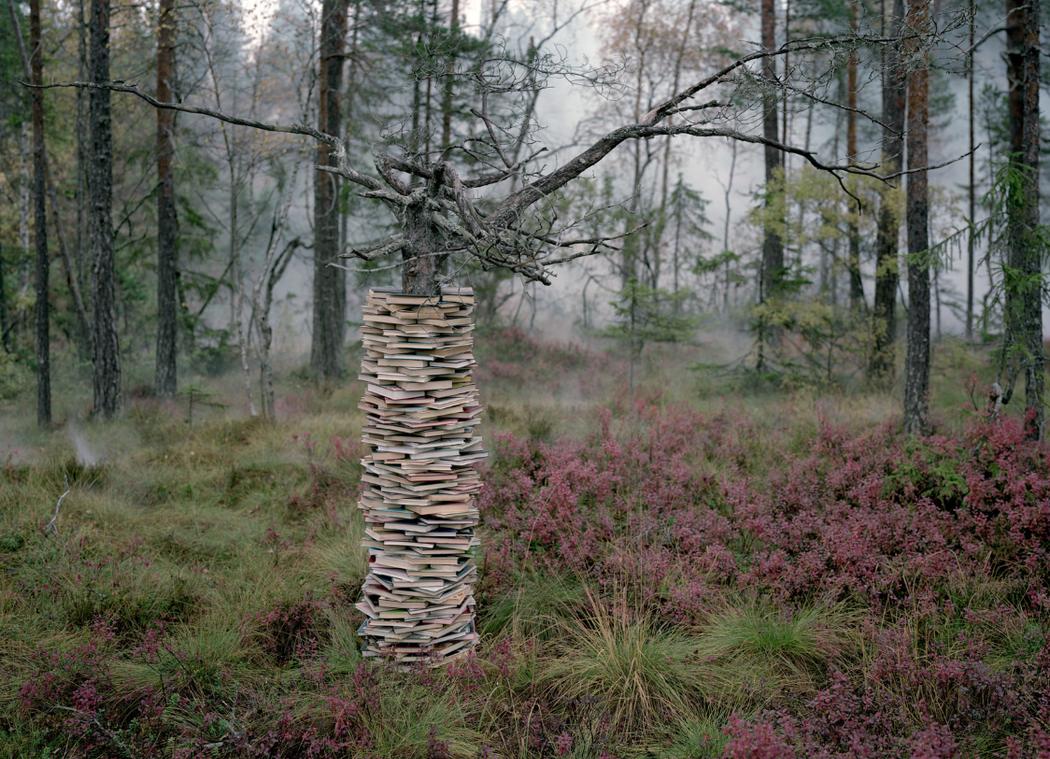 Making up for missed time, 2013, 100cm x 138cm, digital c-print/aluminium, edition of 5 + 2 AP