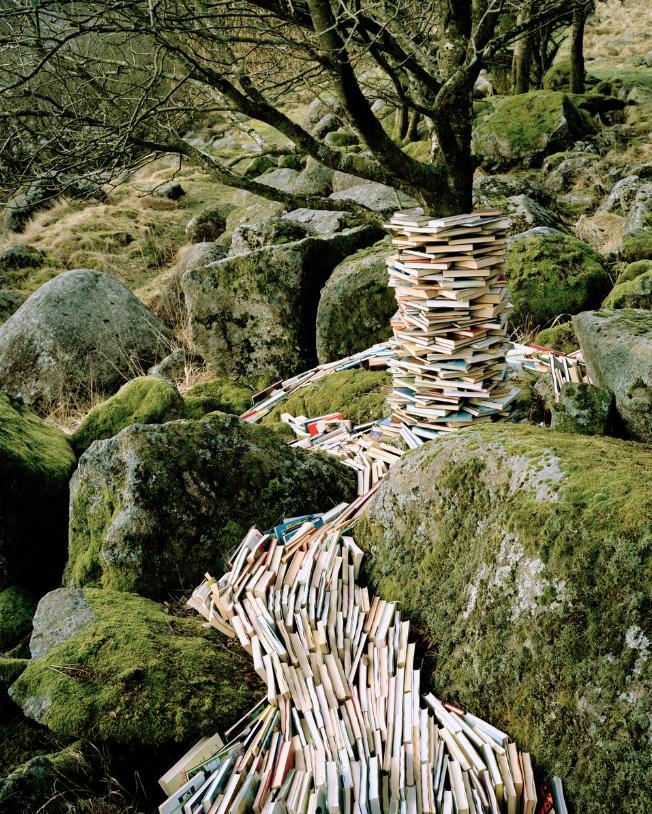 It´s common knowledge, 2009, 187cm x 150cm, digital c-print/aluminium, edition of 5 + 1 AP