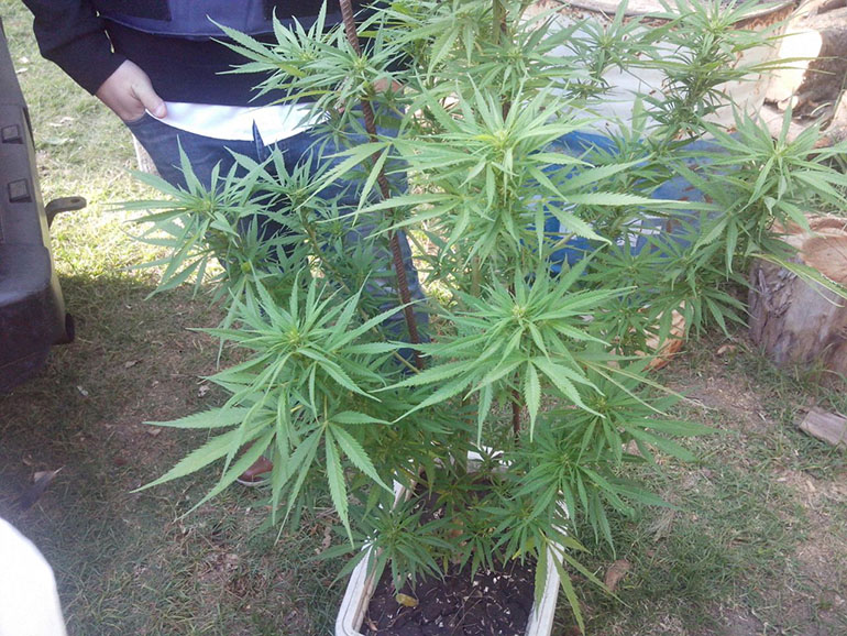 detenidos Pilar robo Piquin SF 1