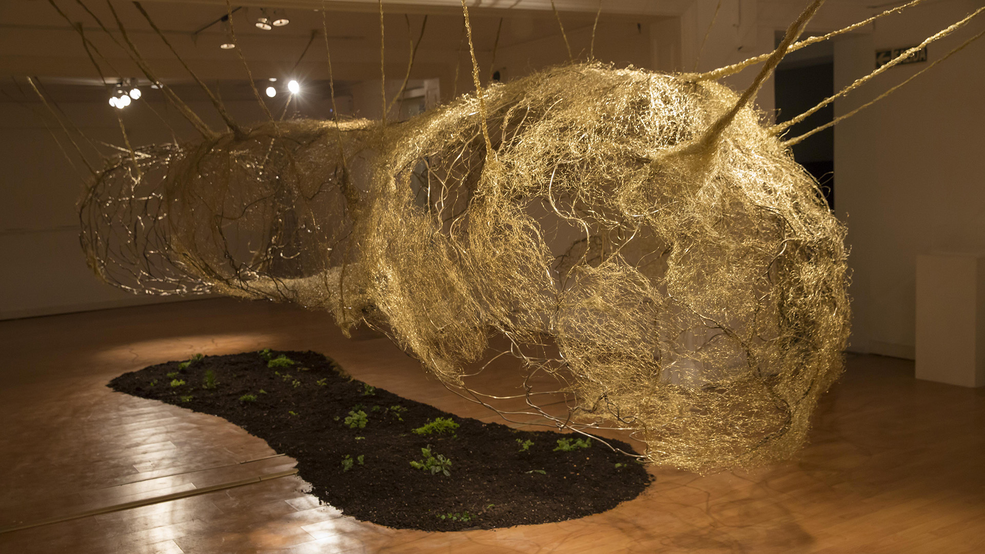 Esta obra de 13 metros -realizada en bronce- representa un capullo de seda que se regenera para dar una nueva vida, como un escudo protector