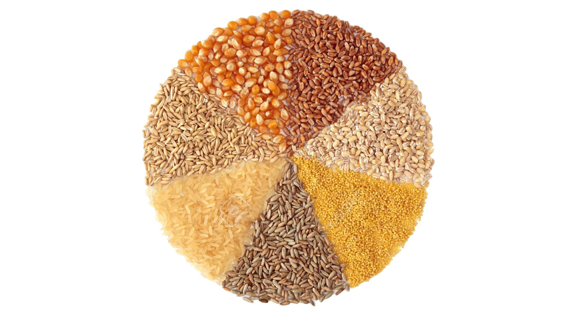Europa, Estados Unidos y China, grandes productores de cereales, se verán más afectados que los países en regiones tropicales como Brasil o Vietnam, donde los insectos ya están aprovechando al máximo las condiciones climáticas