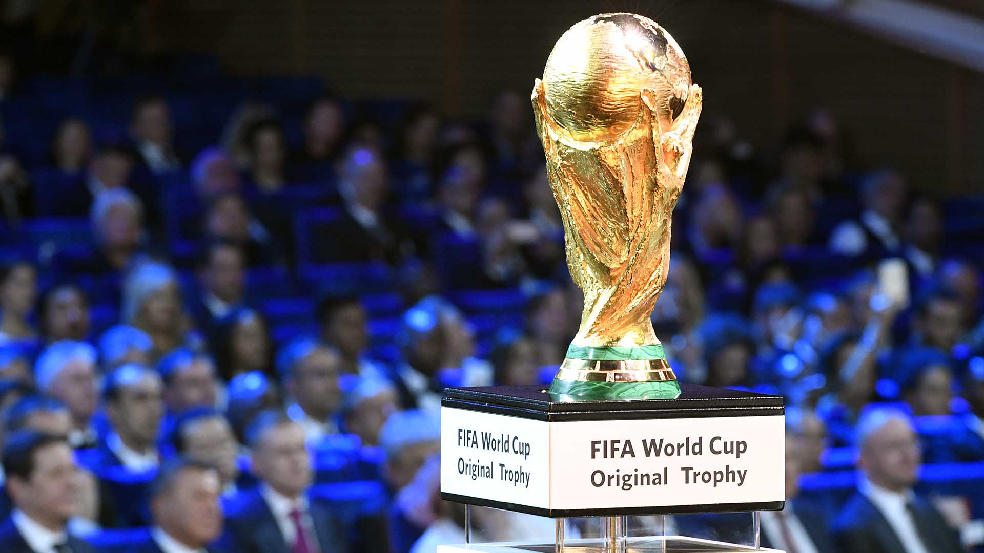 El sueño de todos: la copa que todo quieren levantar en Moscú (AFP Photo / Alexander Nemenov)