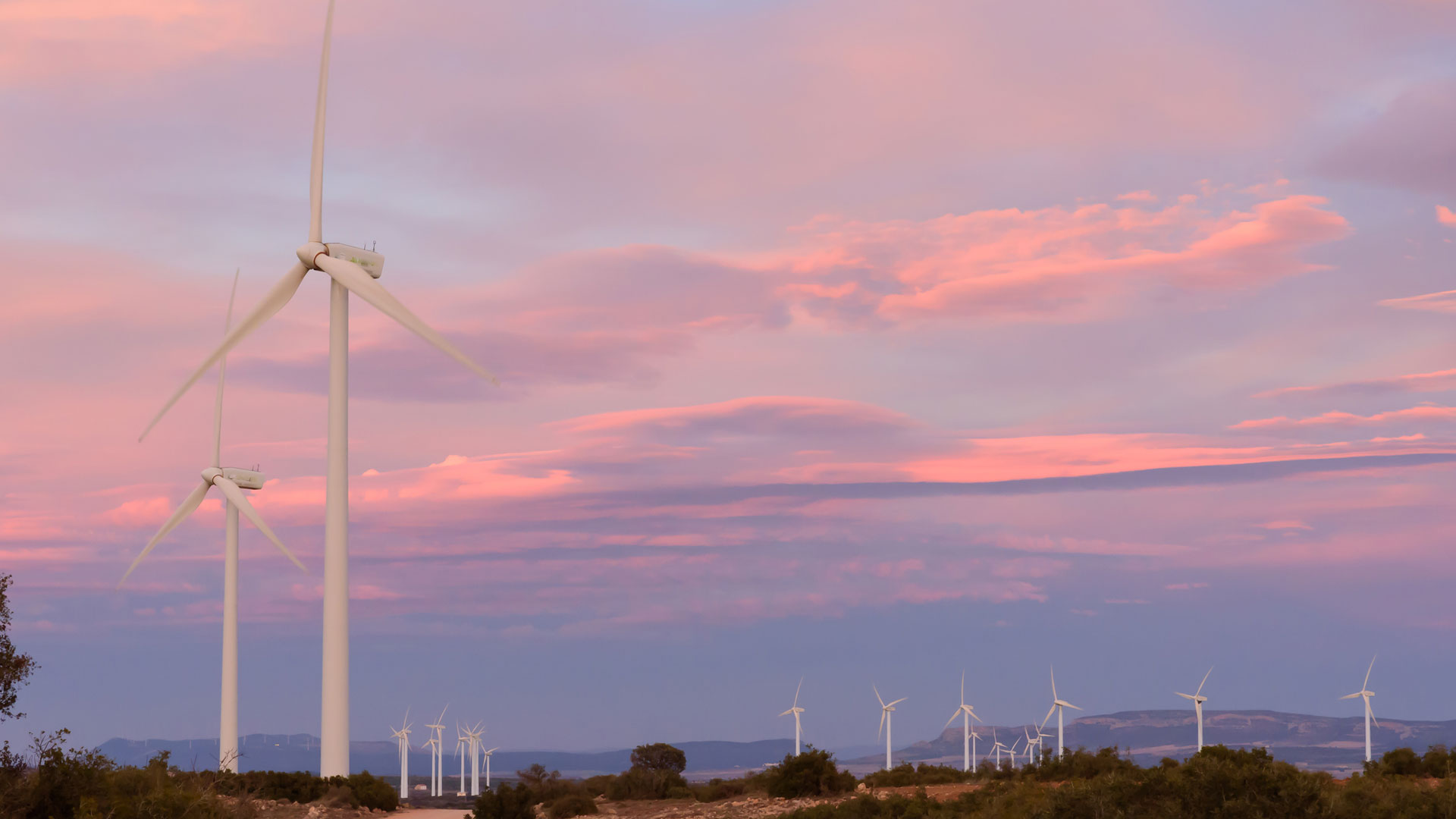 La Argentina tiene un gran potencial para el desarrollo de la energía eólica y otras fuentes renovables como el biogas, la energía fotovoltaica y la biomasa.