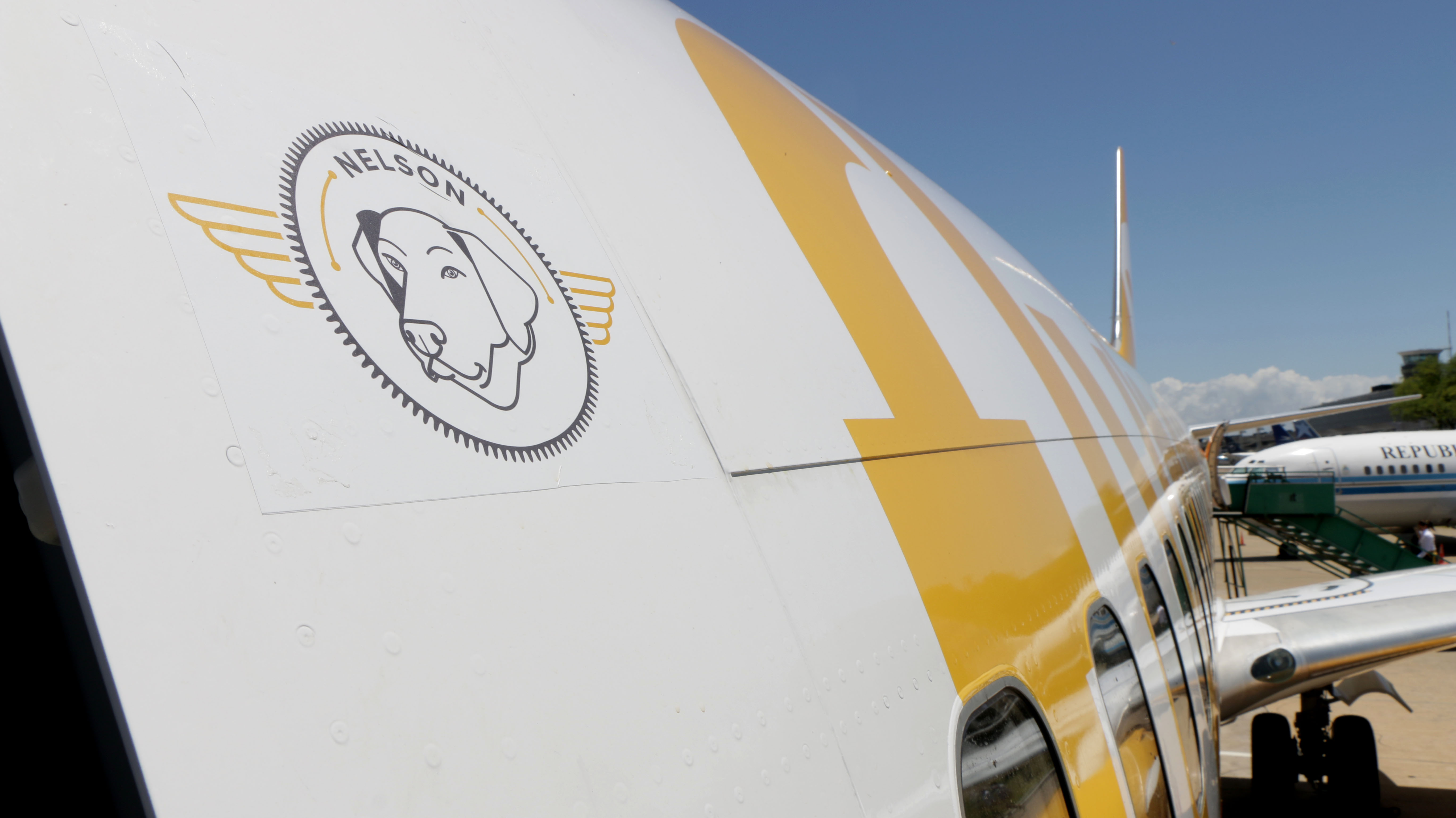Luego de “Nelson”, la empresa prometió abrir la selección del nombre del próximo avión a un concurso público, en el que pretenden incluir otras mascotas