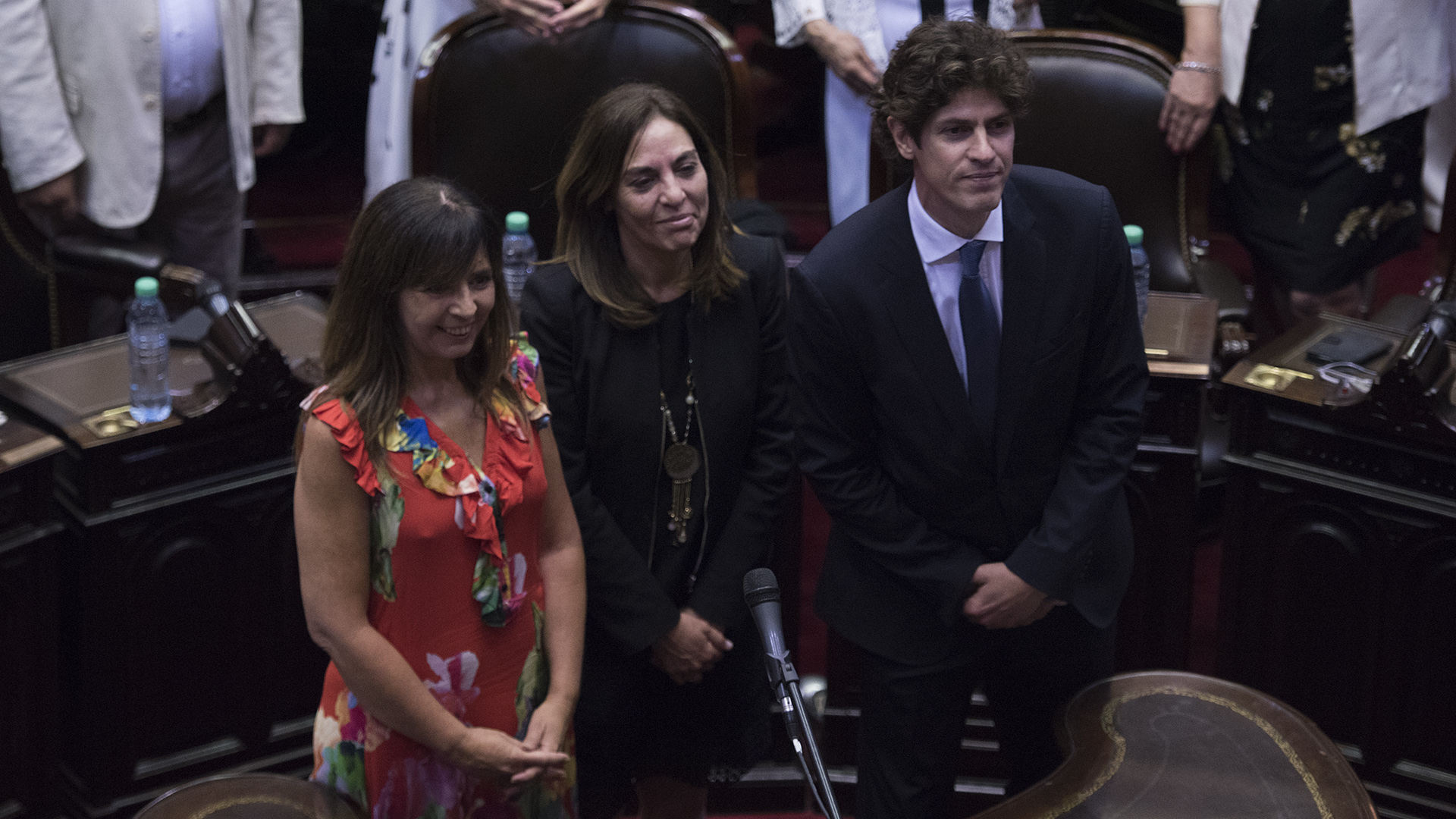 Los diputados Gabriela Cerruti , Carla Carrizo y Martín Lousteau