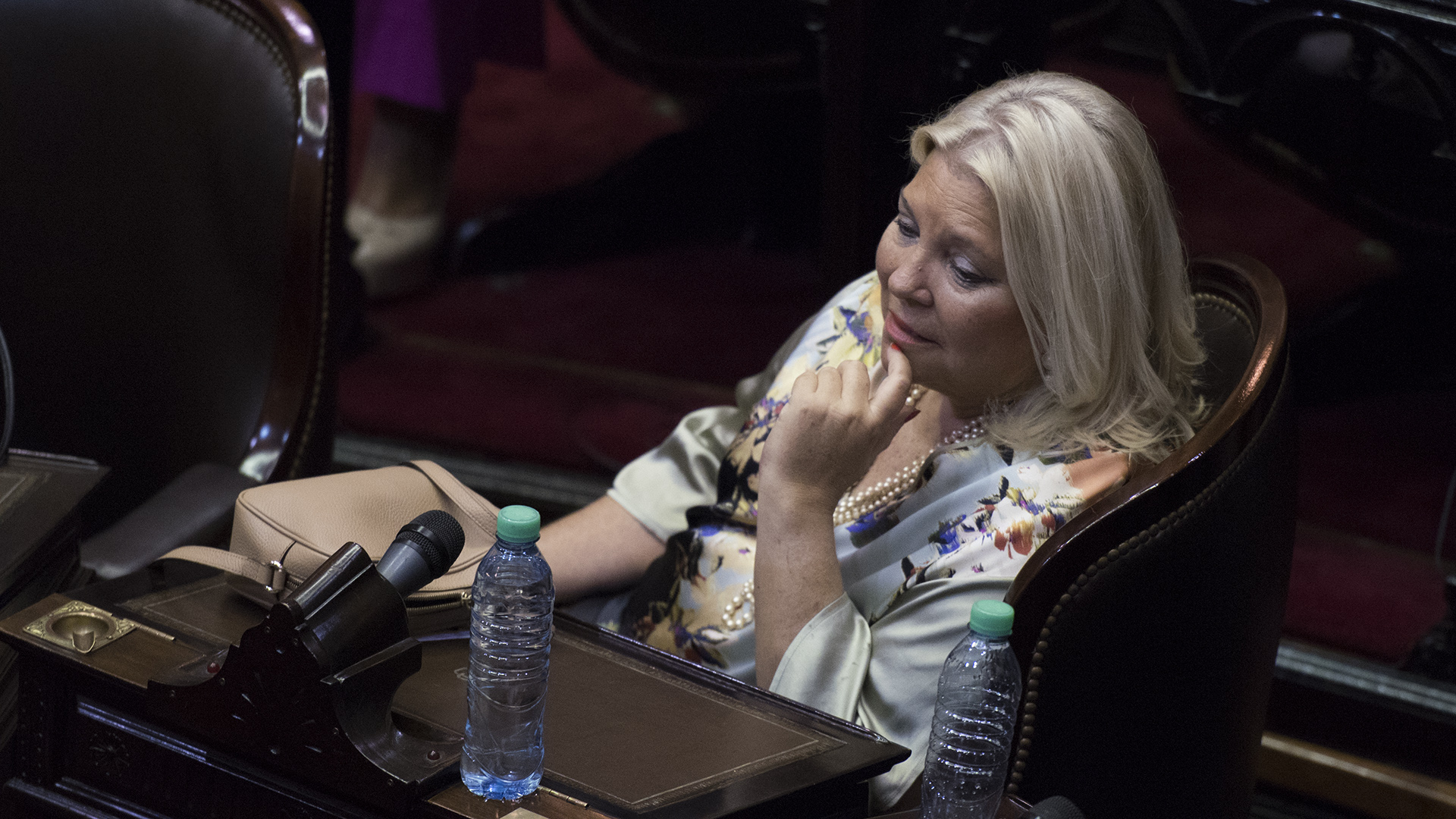 Elisa Carrió